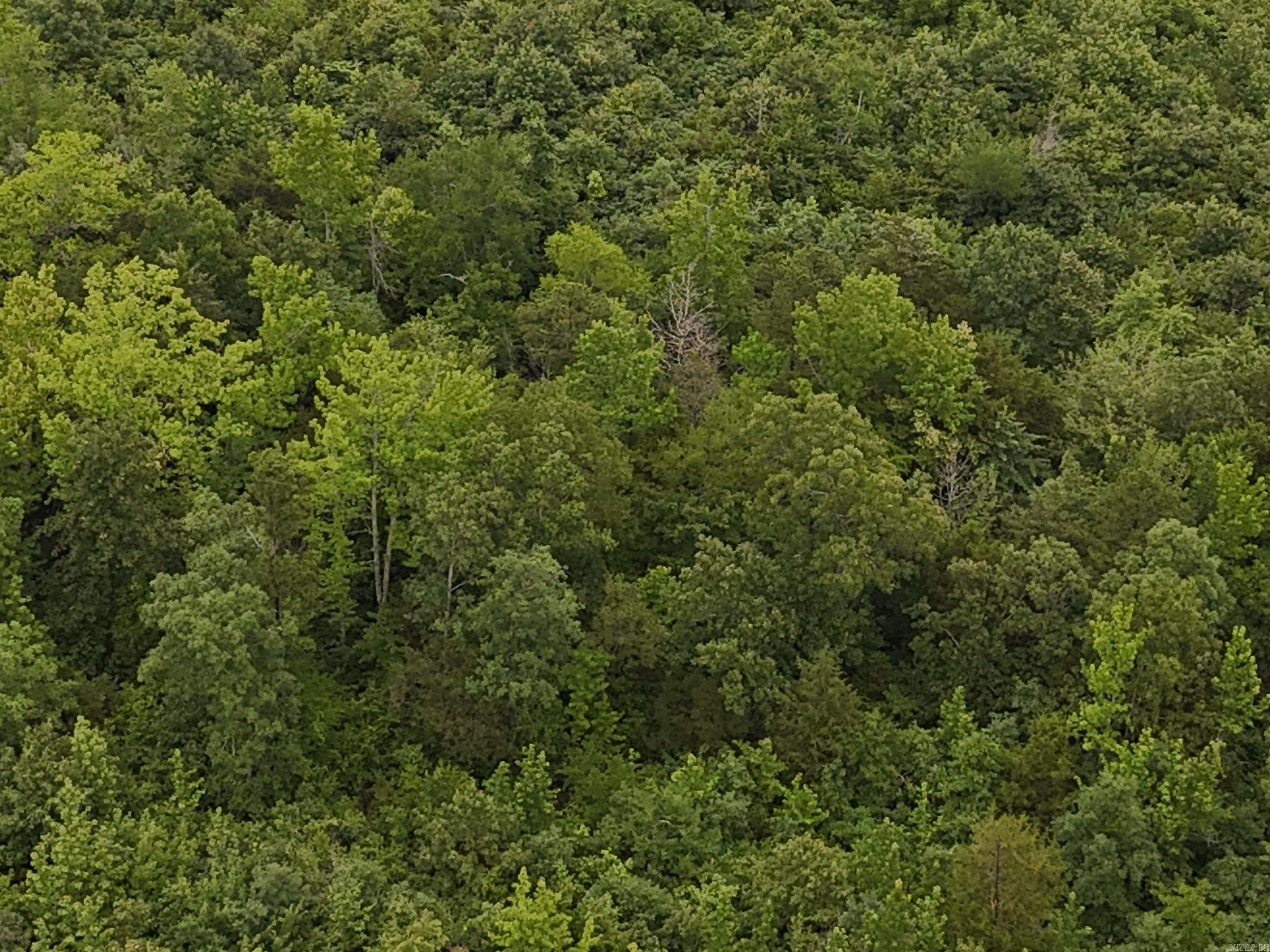 Unk Polk Road 72  Mena, AR