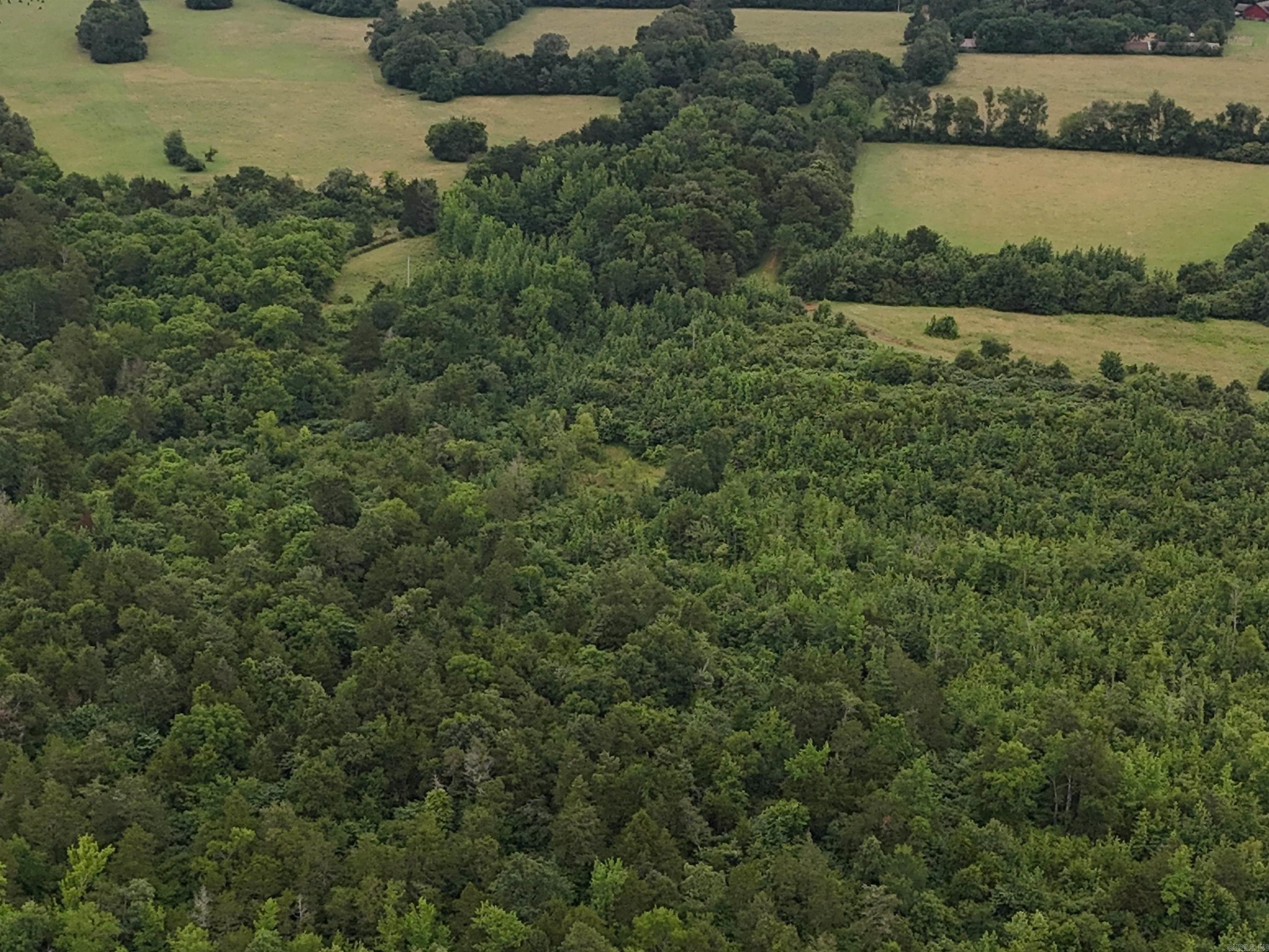 Unk Polk Road 72  Mena, AR