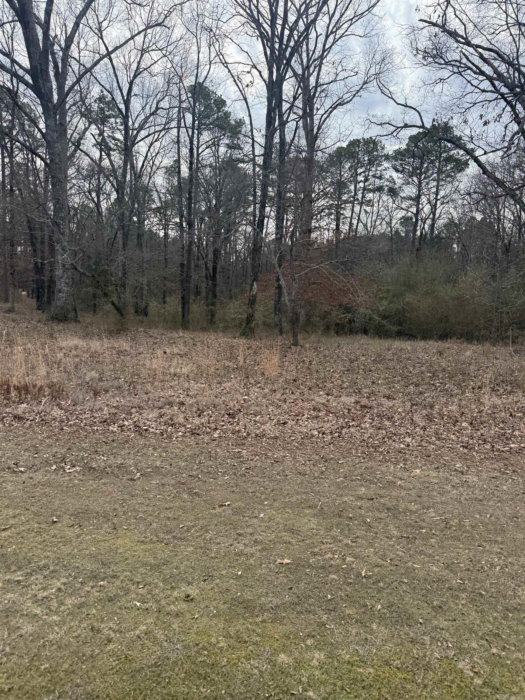 000 DONNIES DRIVE  Clinton, AR