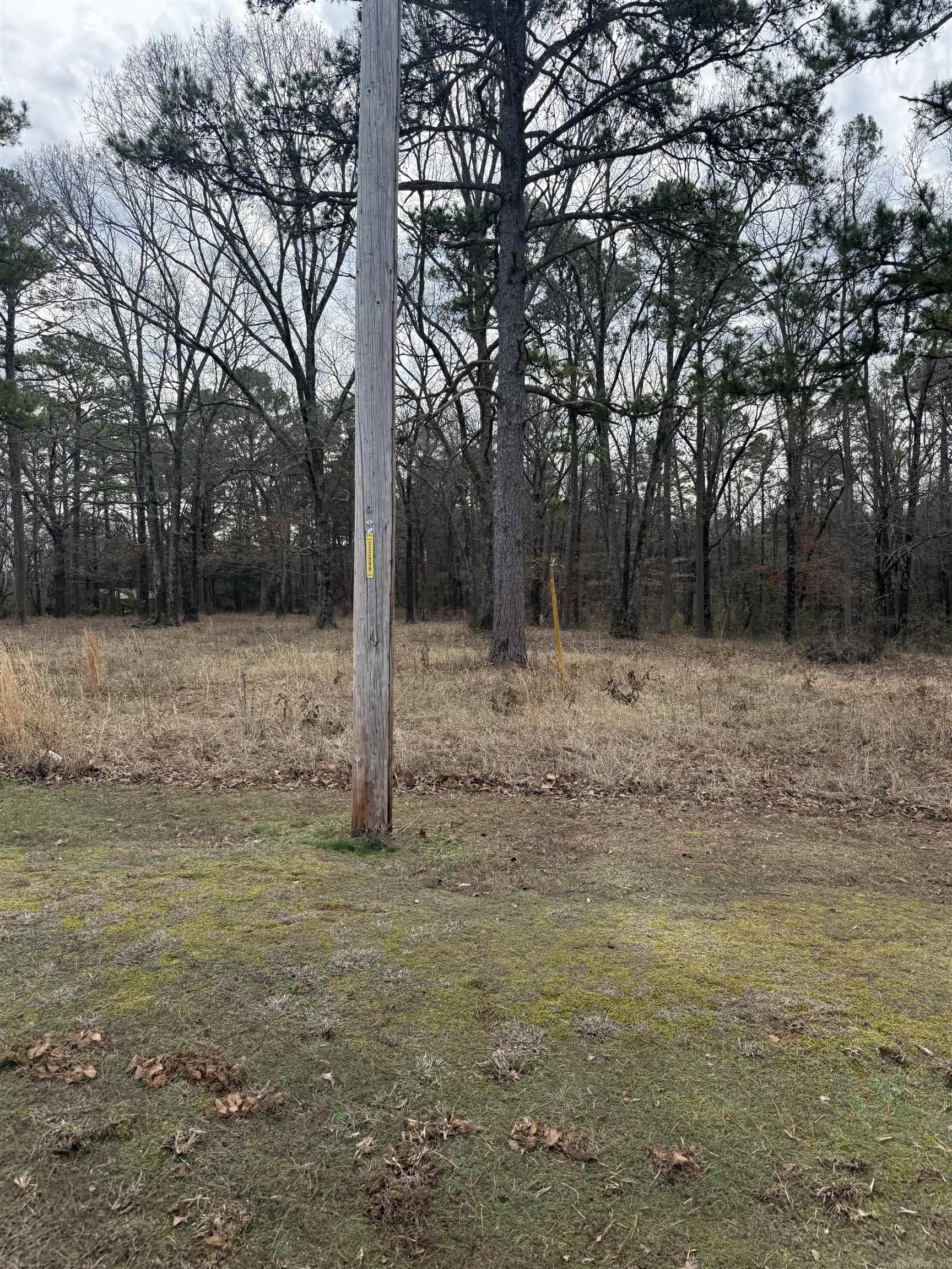 000 DONNIES DRIVE  Clinton, AR