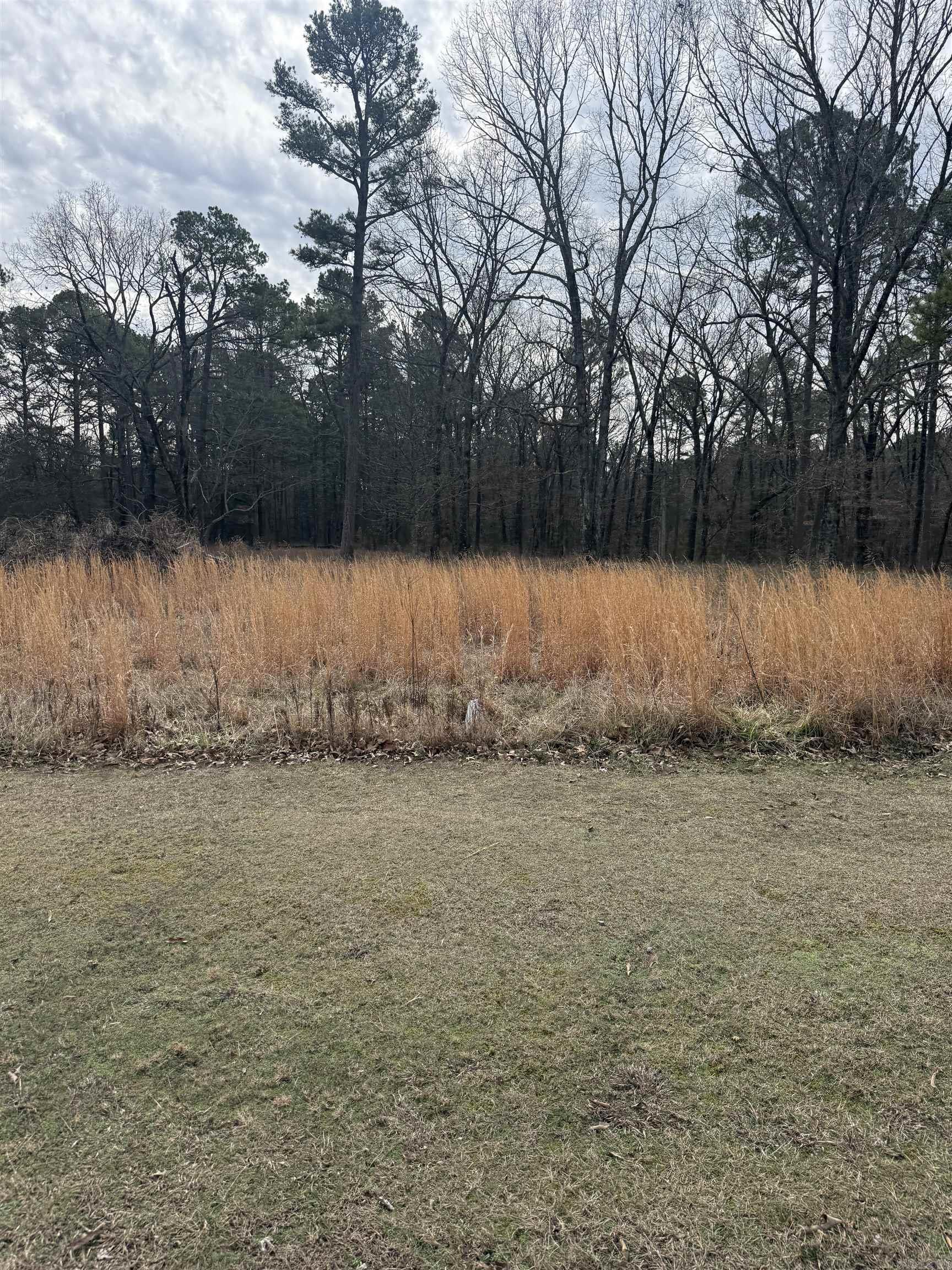 000 DONNIES DRIVE  Clinton, AR