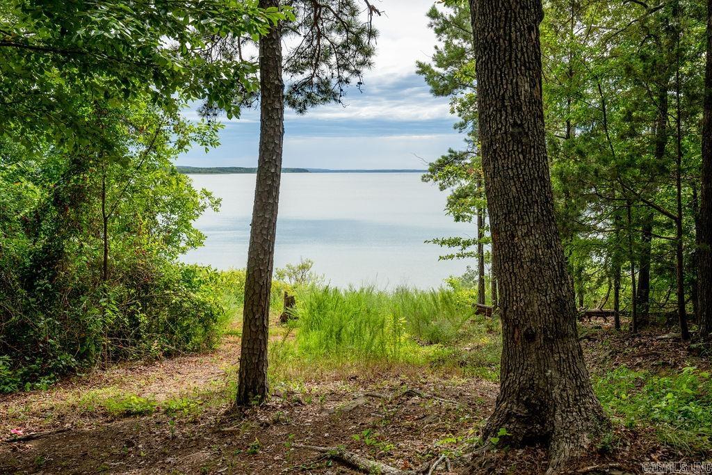 445 Tortoise Bay  Higden, AR