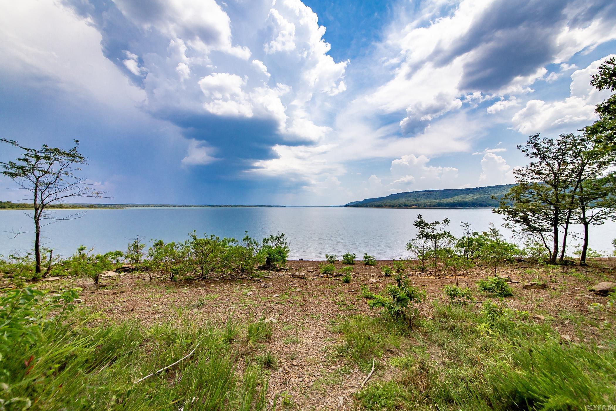 445 Tortoise Bay  Higden, AR