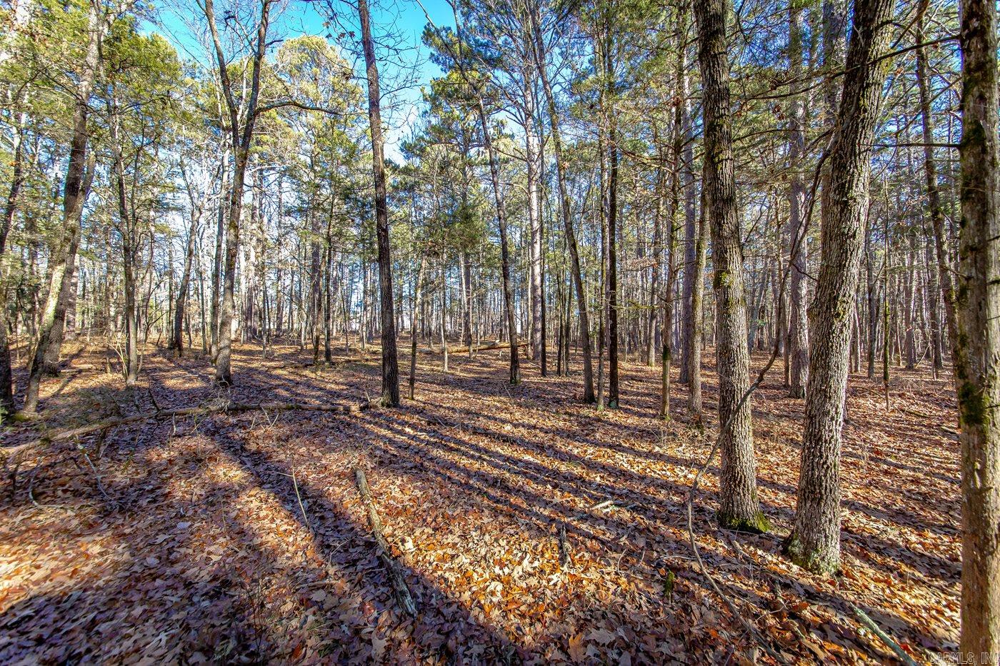 000 WOODS LANE  Clinton, AR