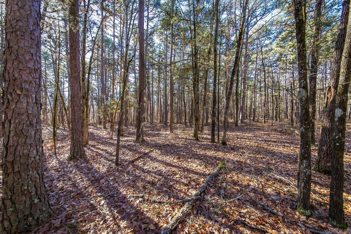 000 WOODS LANE  Clinton, AR