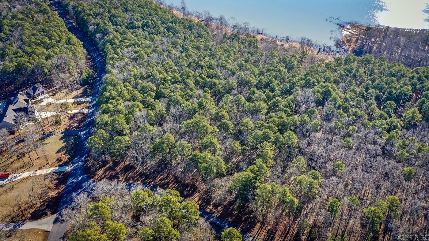 000 WOODS LANE  Clinton, AR