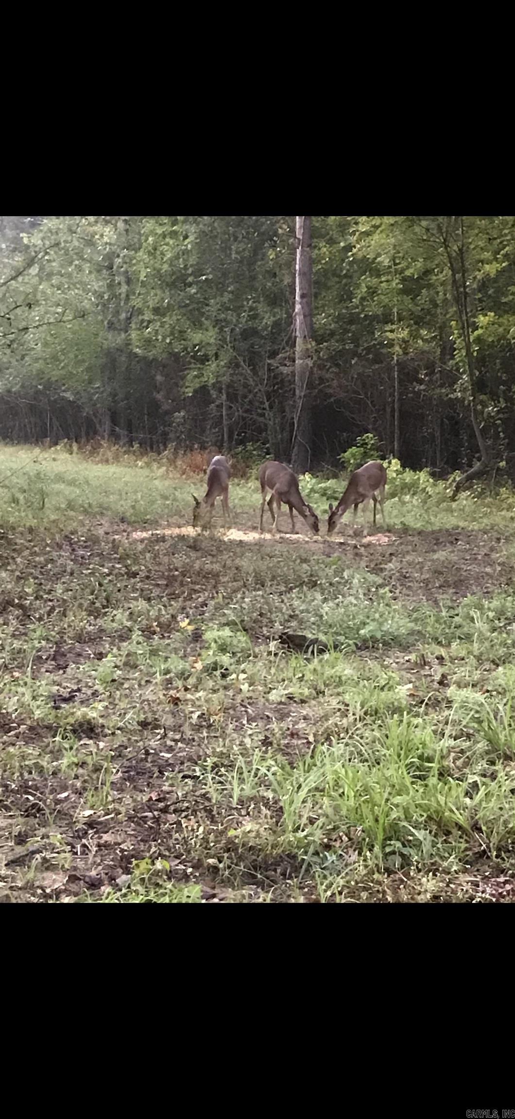 1003 Wildwood Cove  Perryville, AR