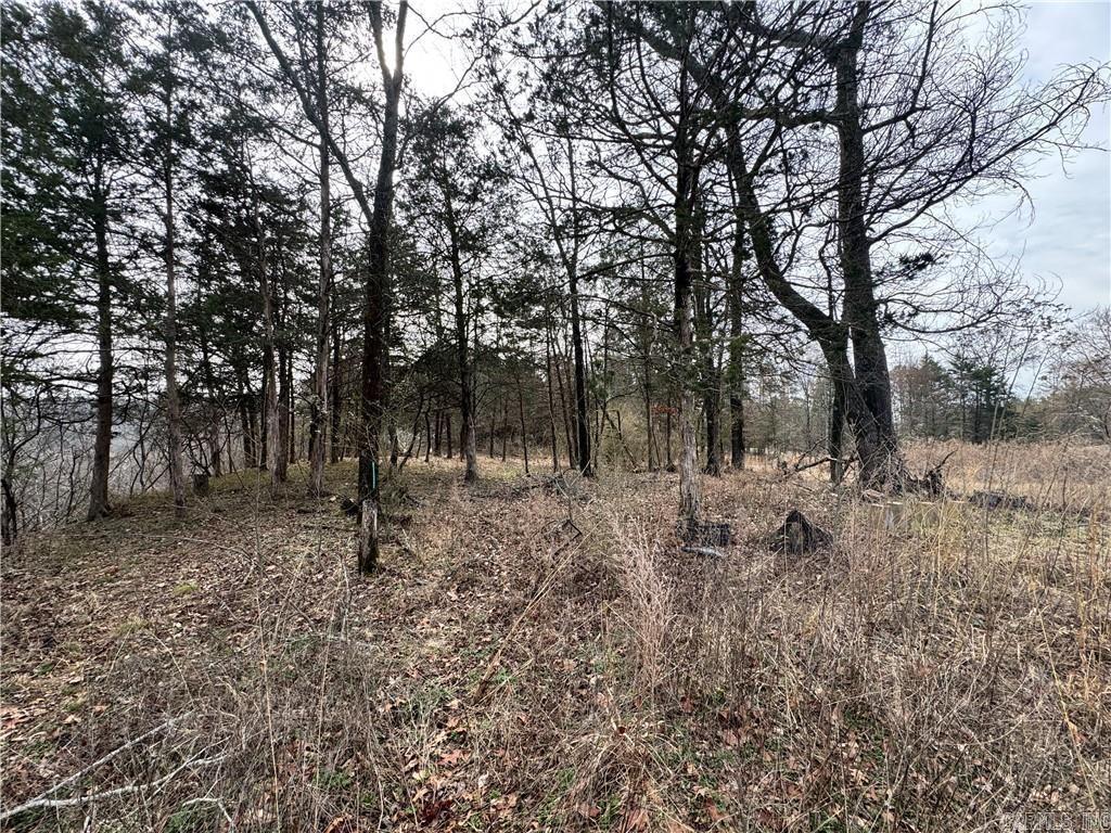 1954 County Road 3259  Clarksville, AR