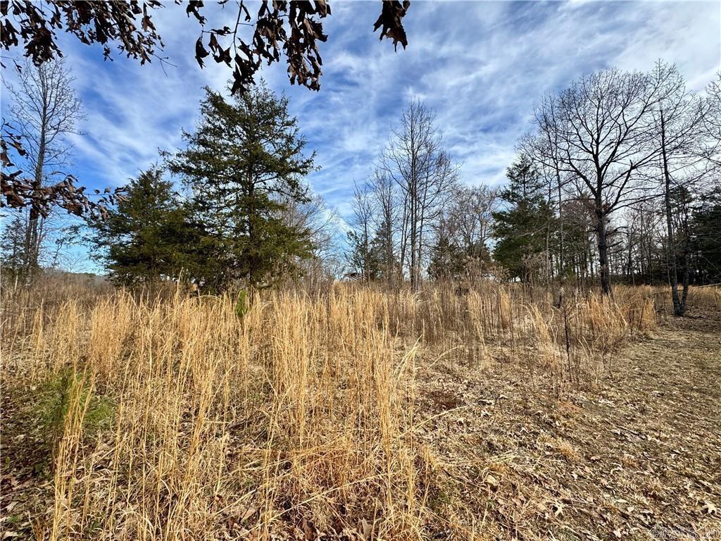 1954 County Road 3259  Clarksville, AR