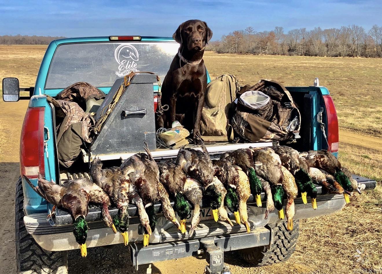 000 Woodruff CR 884  Augusta, AR