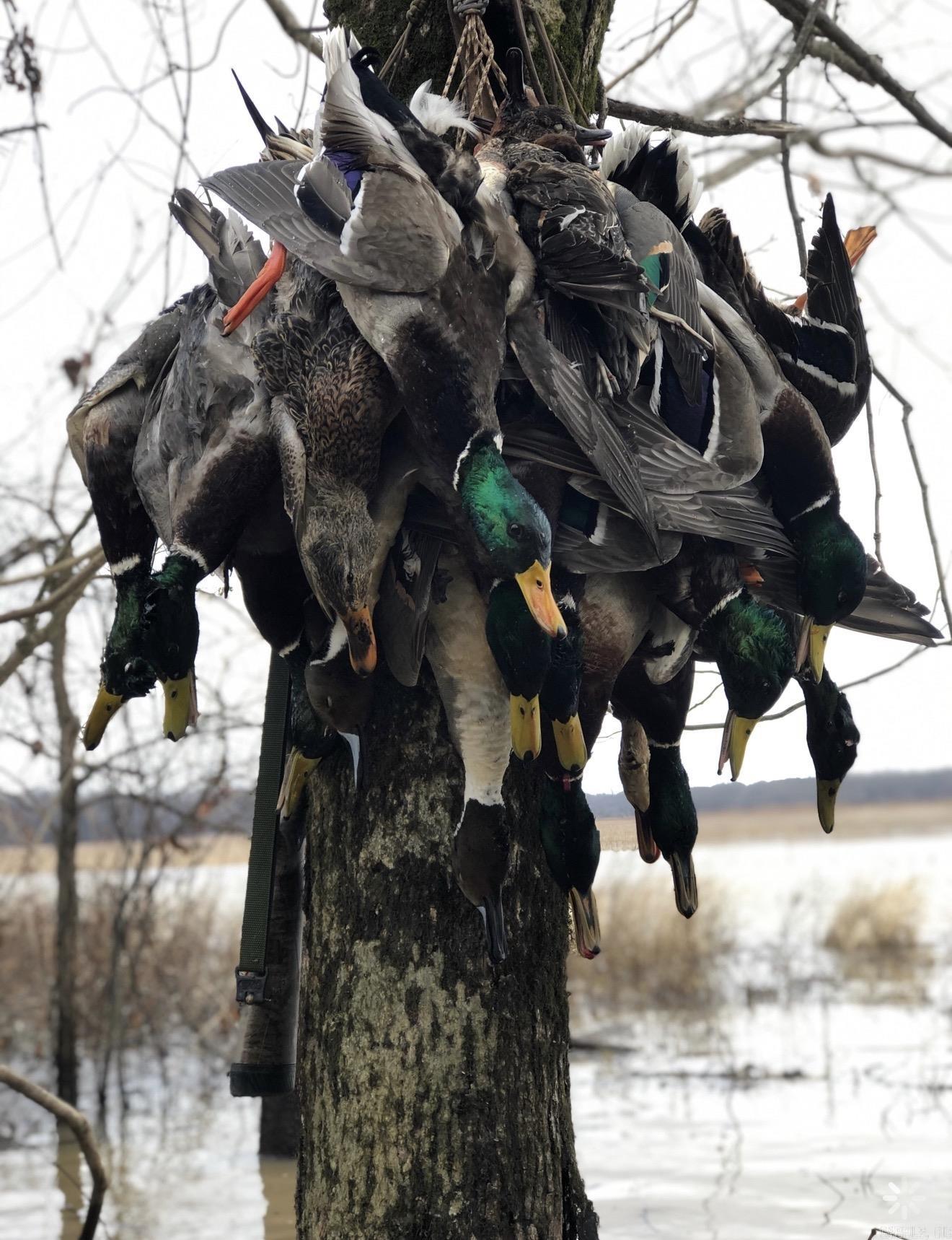 000 Woodruff CR 884  Augusta, AR