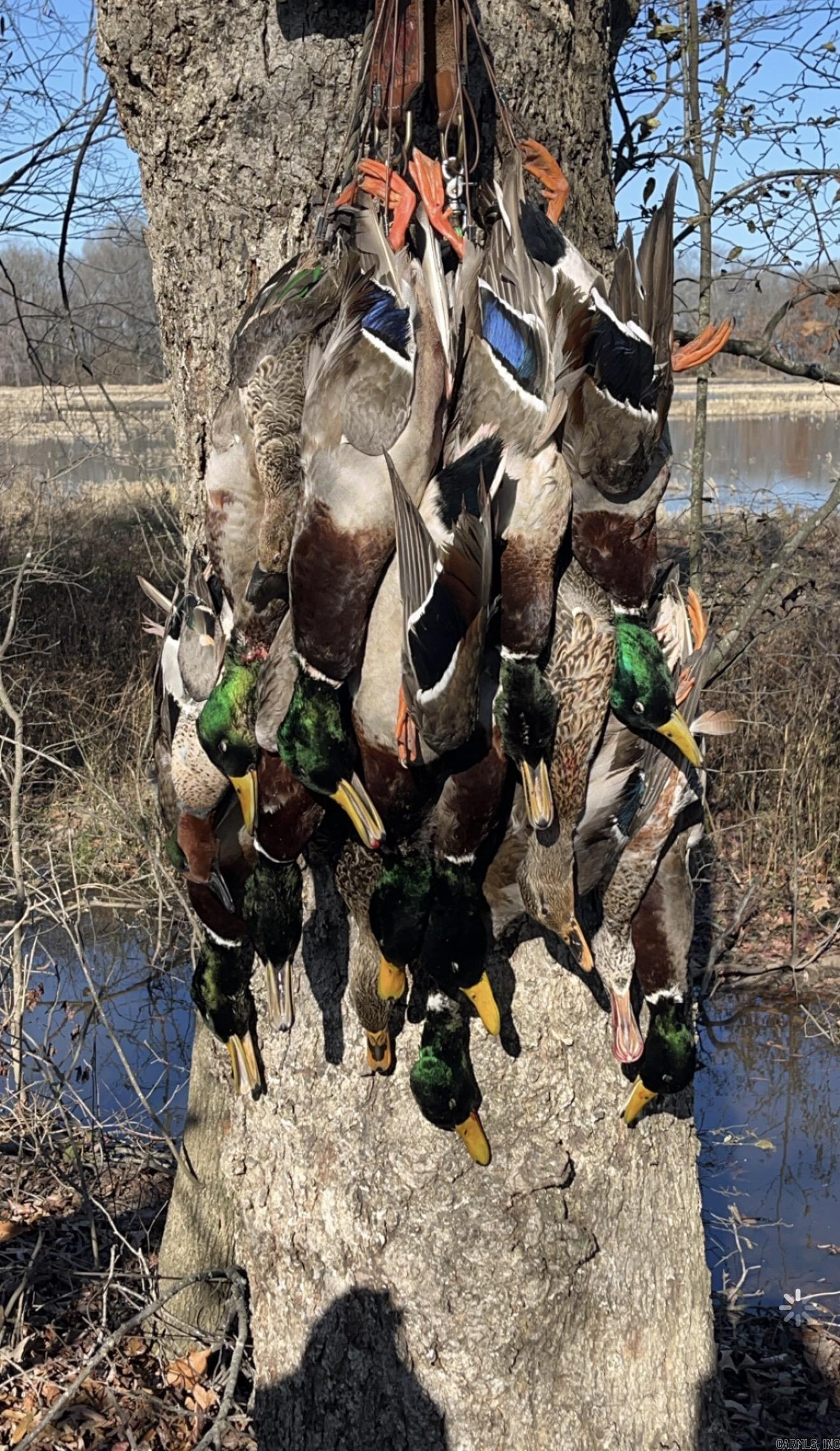 000 Woodruff CR 884  Augusta, AR