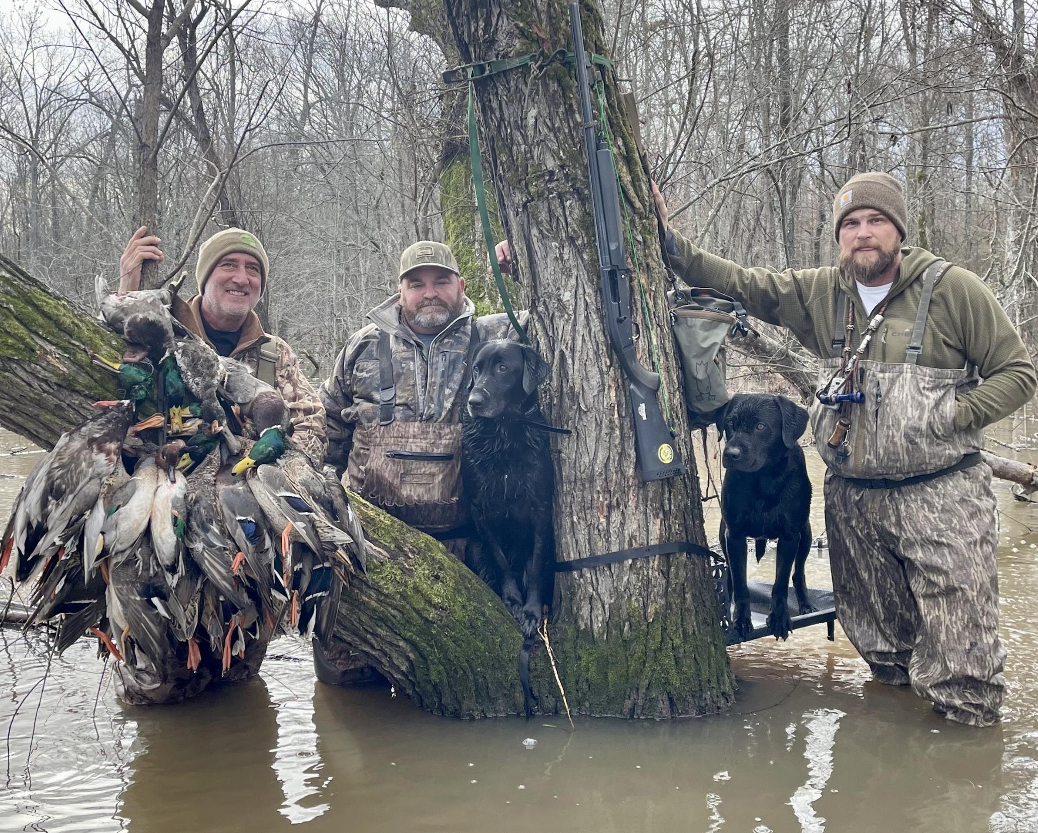 000 Woodruff CR 884  Augusta, AR