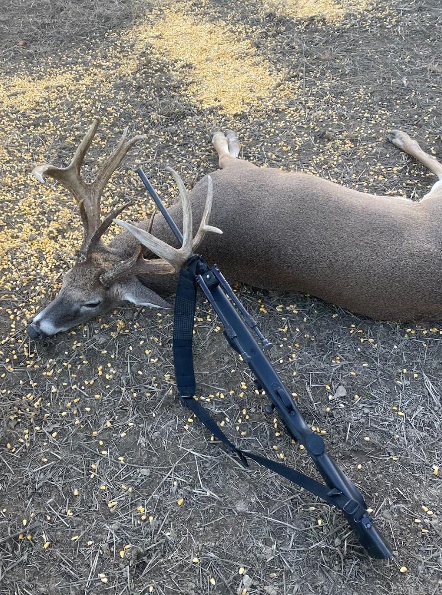 000 Woodruff CR 884  Augusta, AR