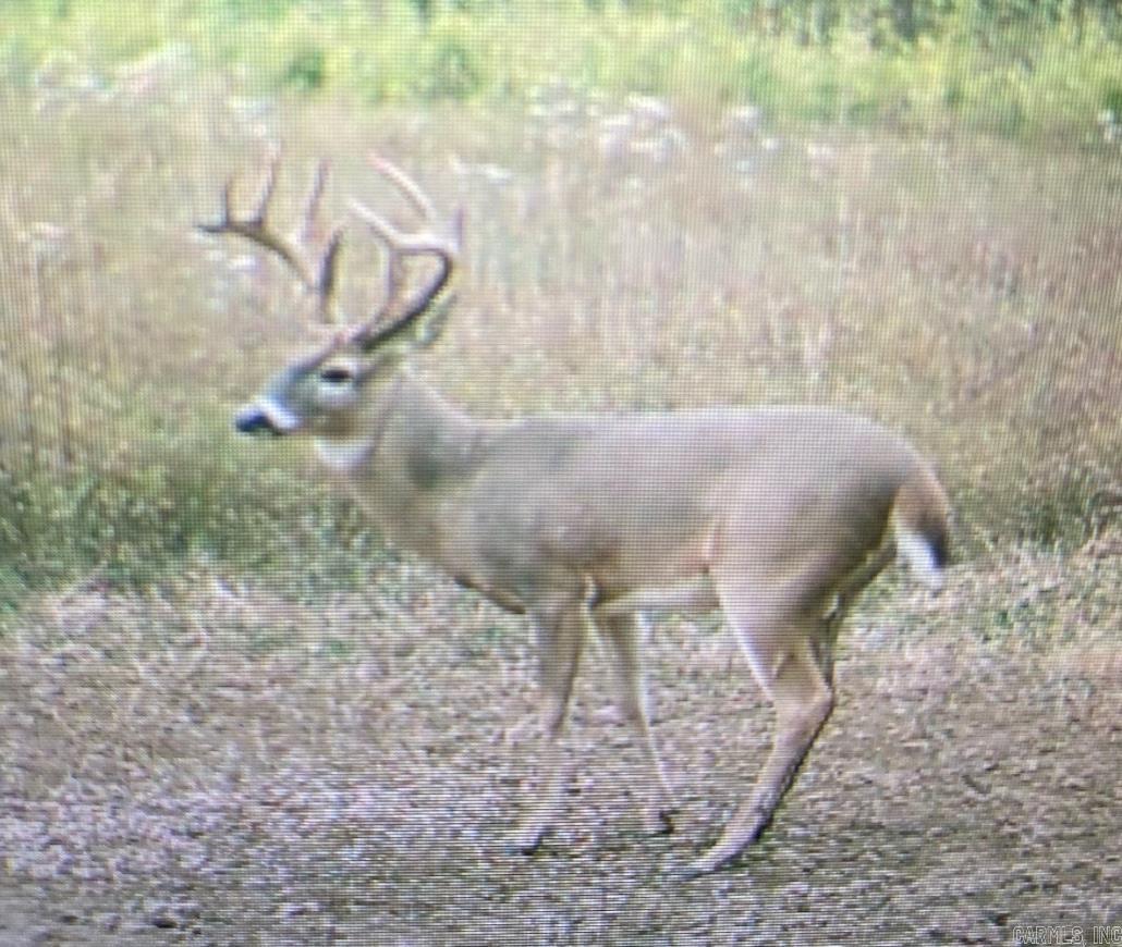 000 Woodruff CR 884  Augusta, AR