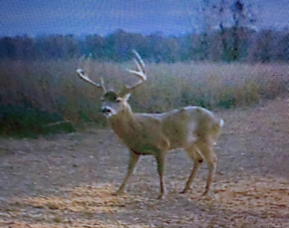 000 Woodruff CR 884  Augusta, AR