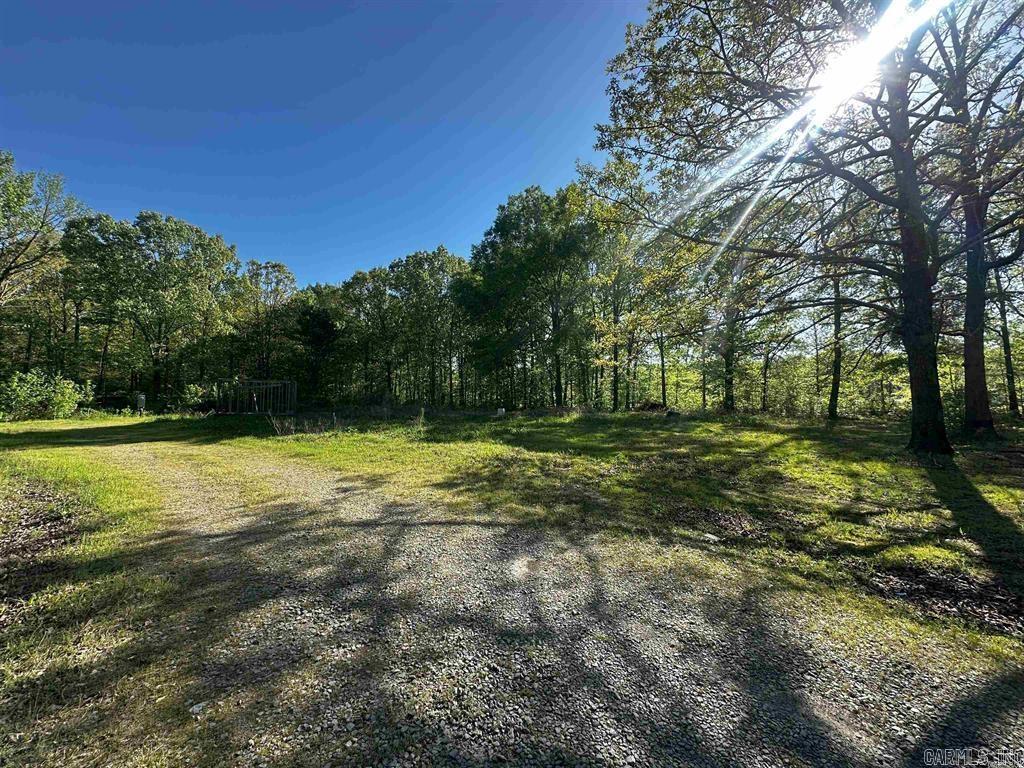 419 Robert Young  Ward, AR