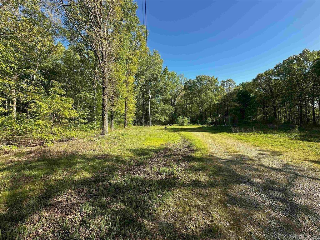 419 Robert Young  Ward, AR