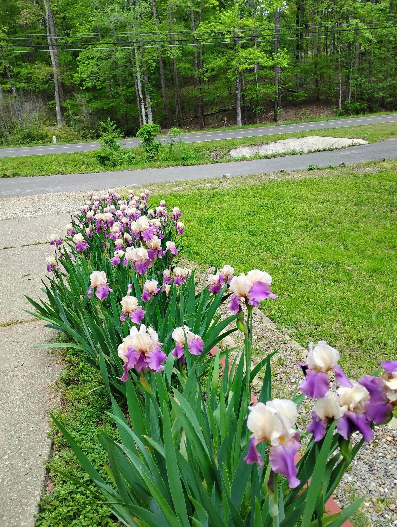 9 Sabadell  Hot Springs Village, AR