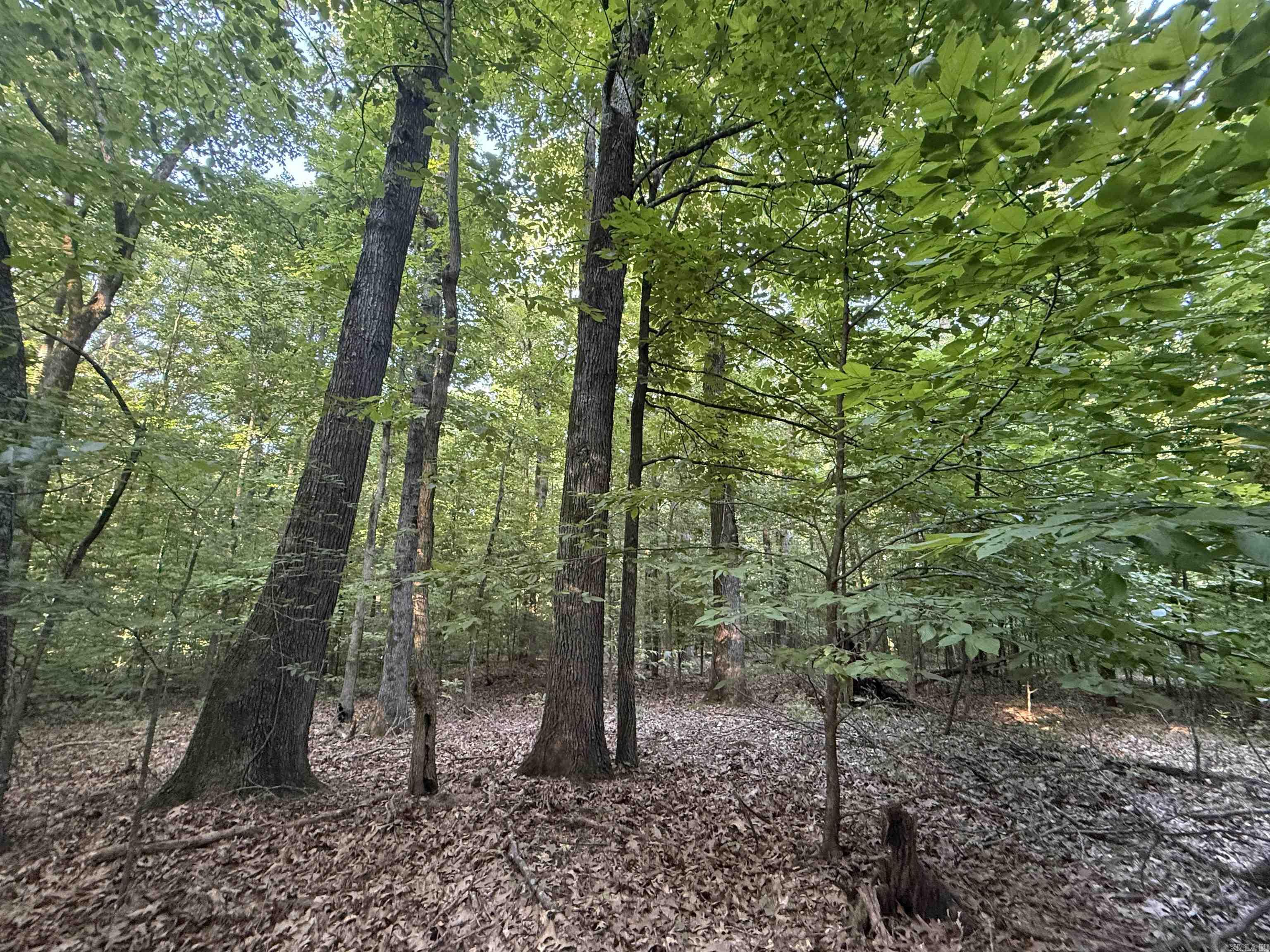 00 SFC 415 county rd 415  Widener, AR