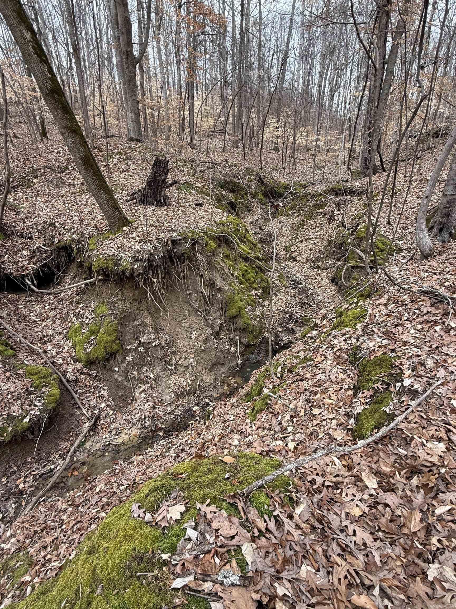 00 cr 415 county rd 415  Widener, AR