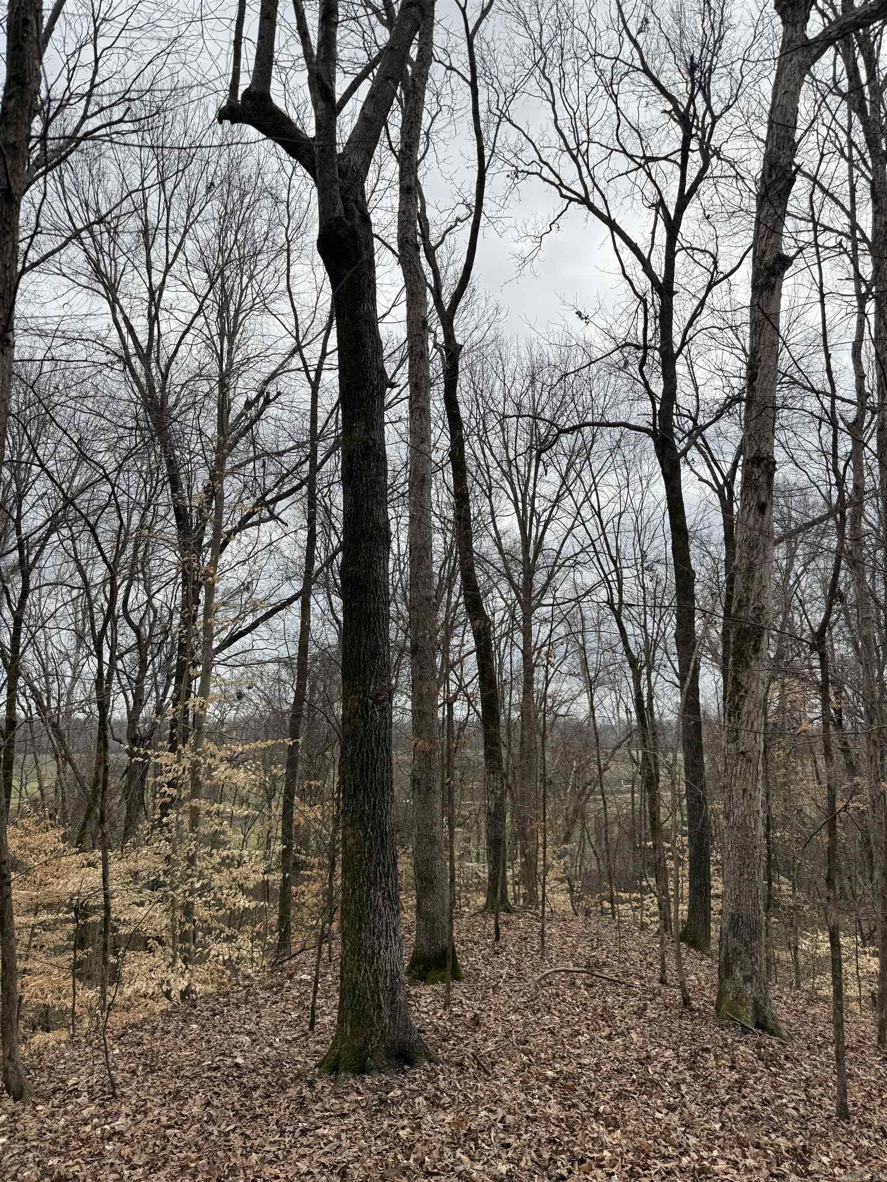 00 cr 415 county rd 415  Widener, AR