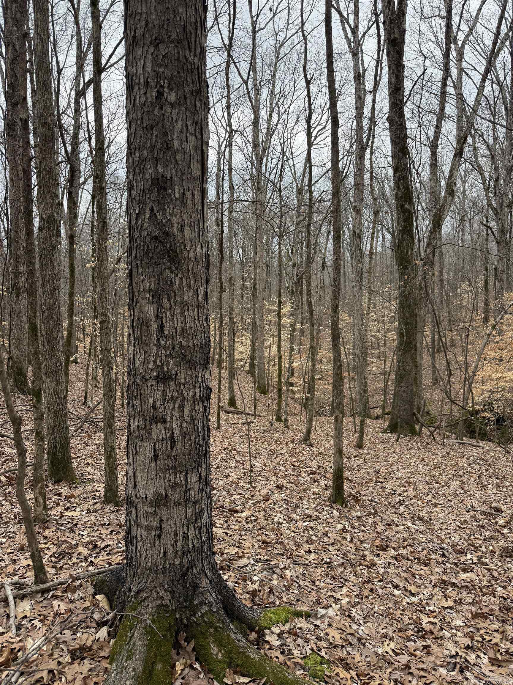 00 SFC 415 county rd 415  Widener, AR