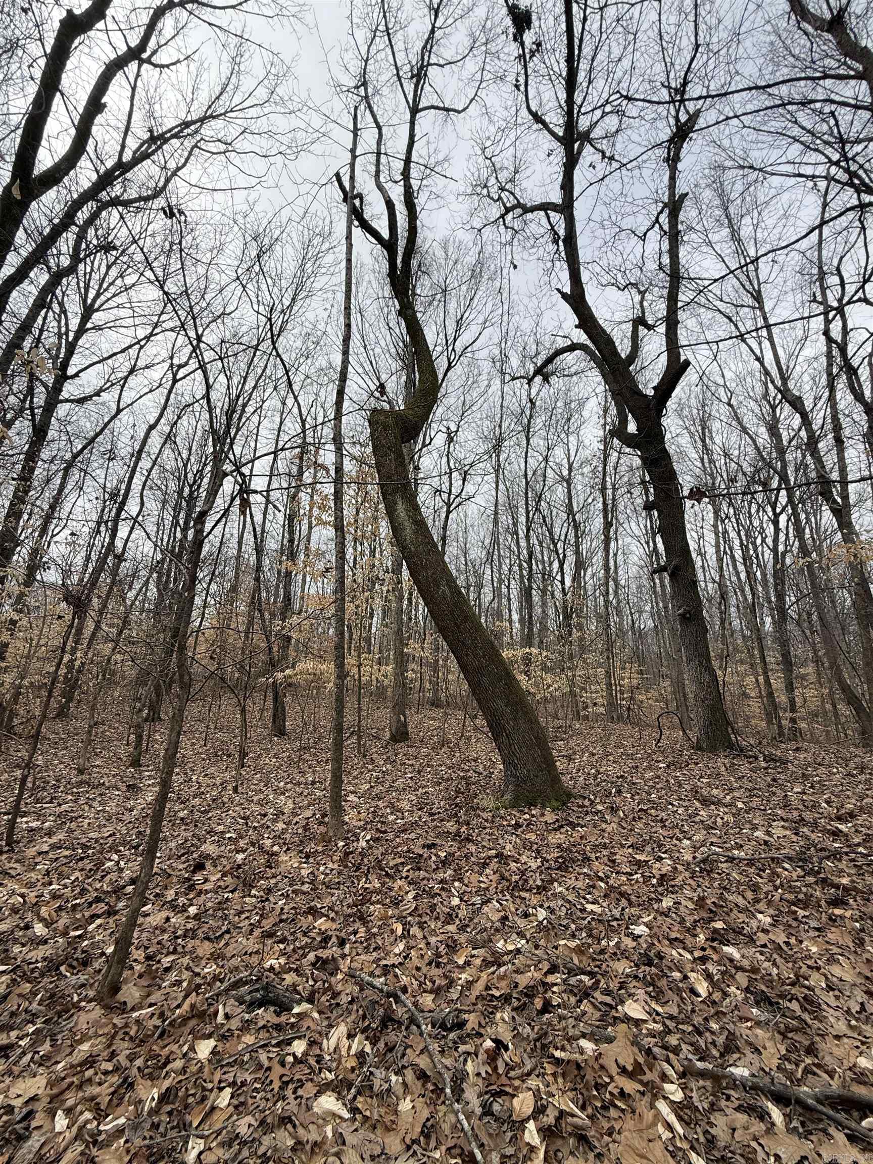 00 cr 415 county rd 415  Widener, AR