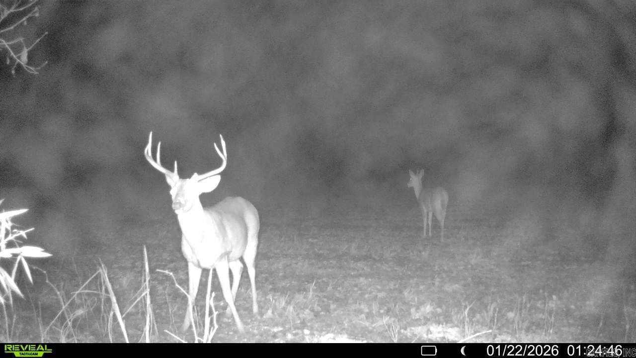 00 SFC 415 county rd 415  Widener, AR