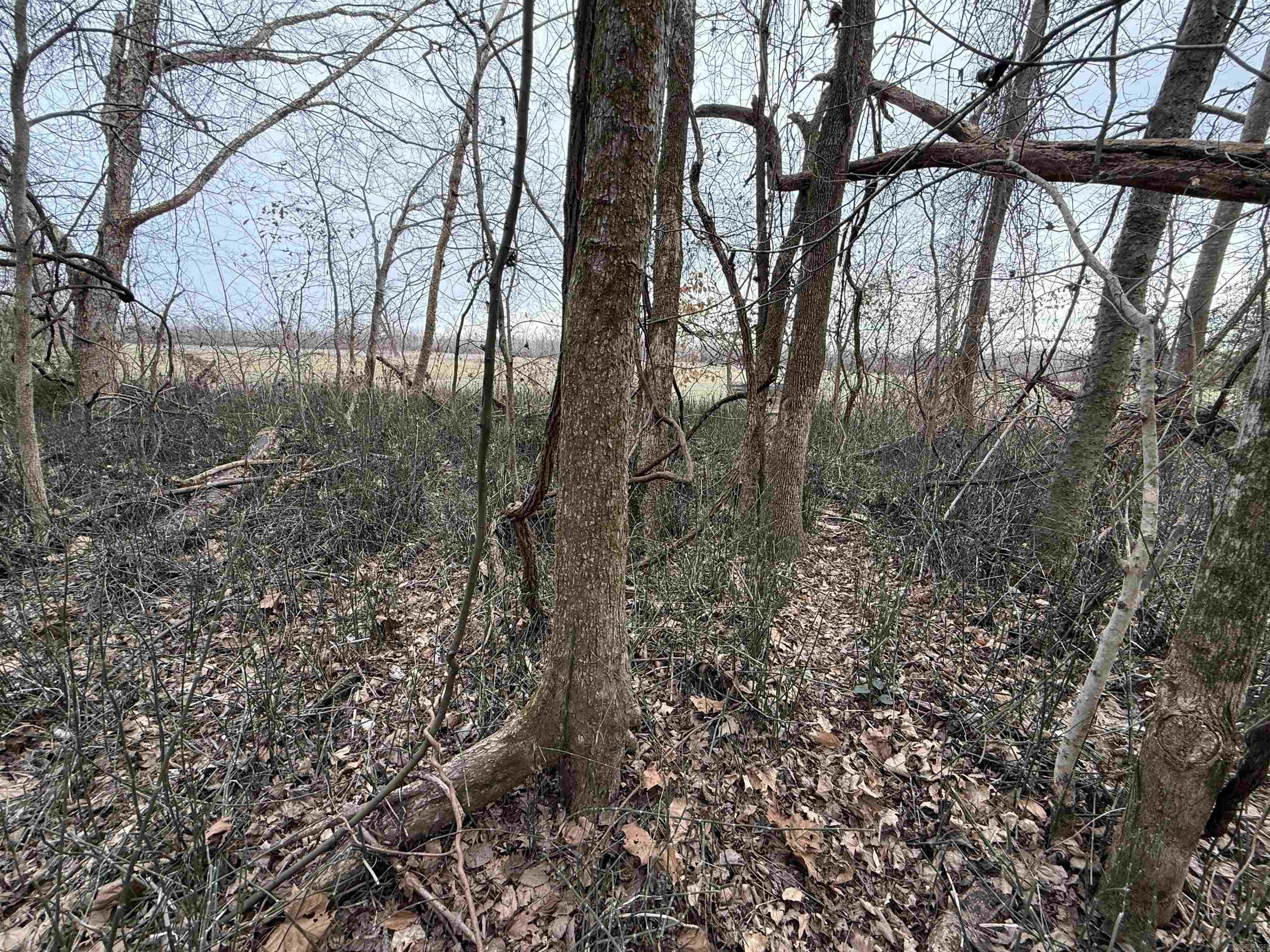 00 cr 415 county rd 415  Widener, AR