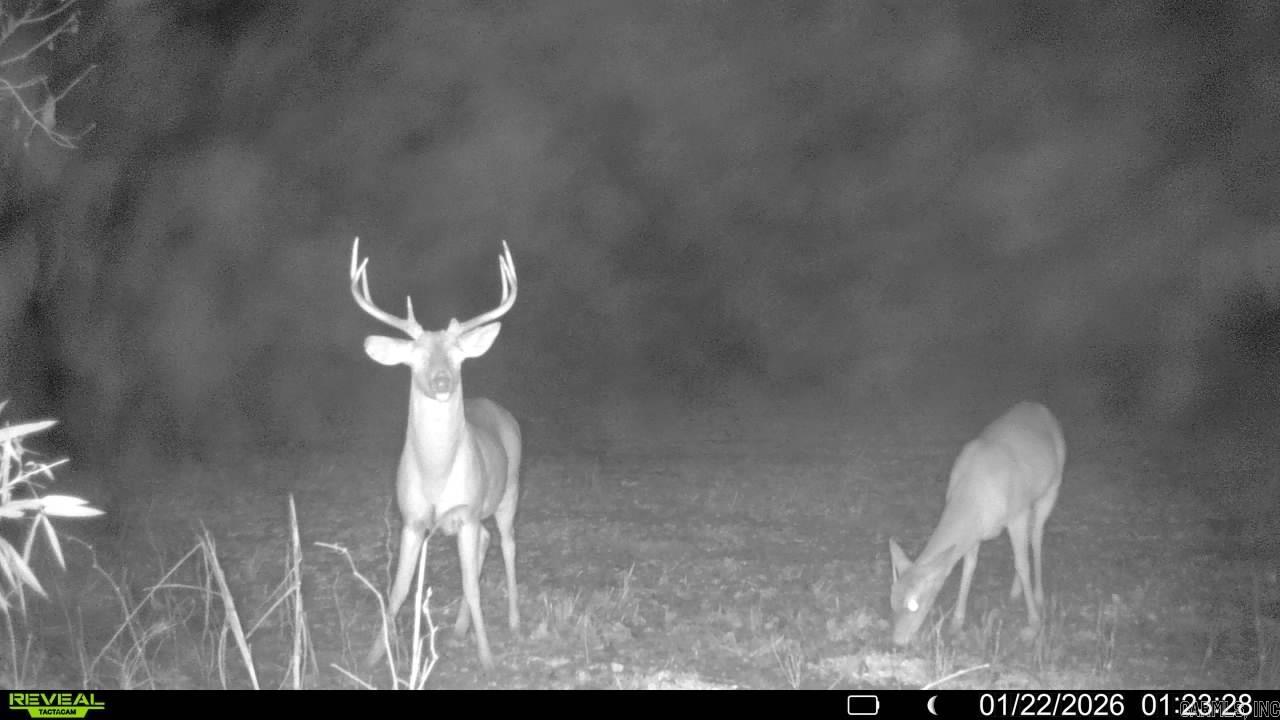 00 SFC 415 county rd 415  Widener, AR