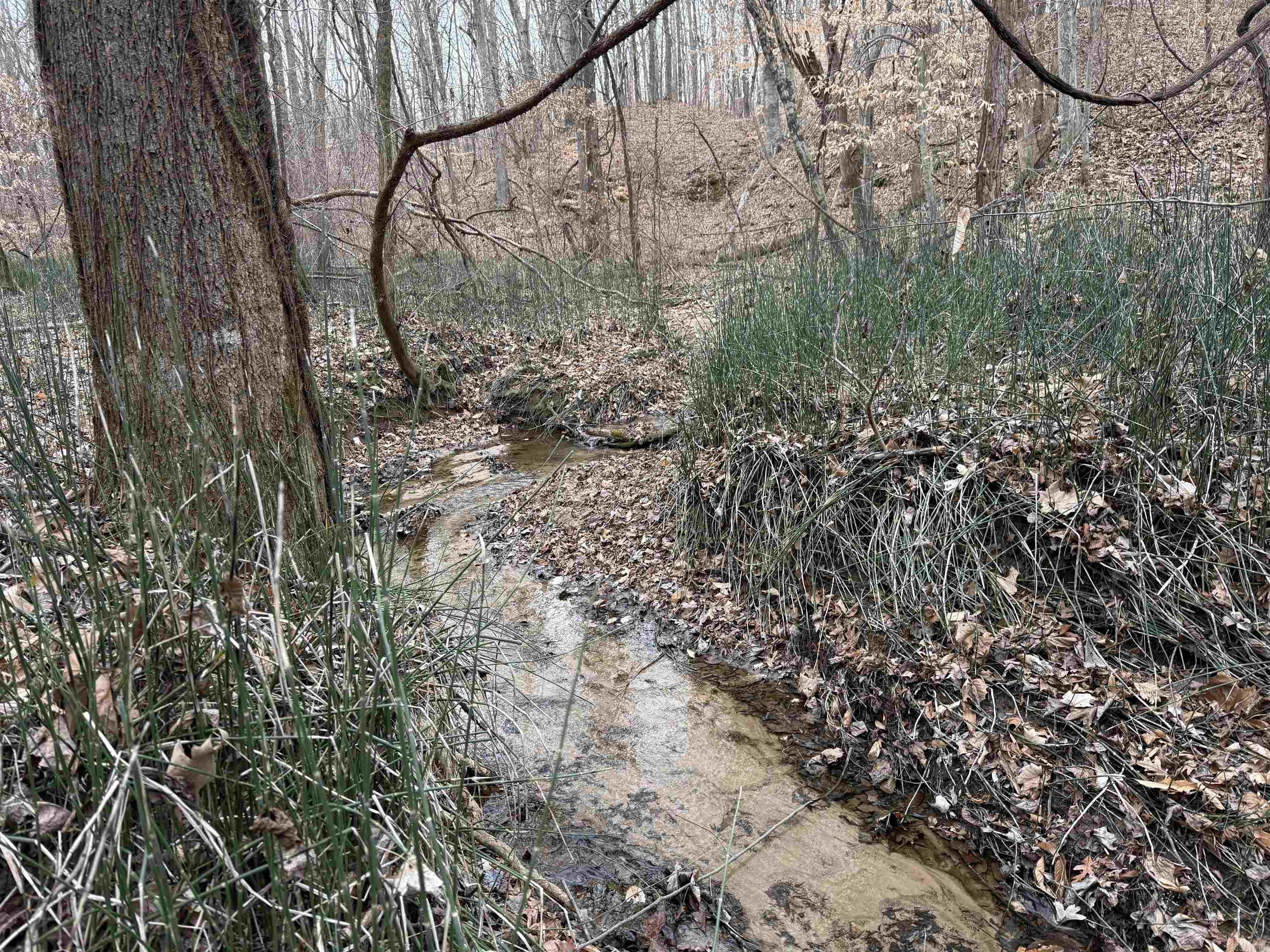 00 SFC 415 county rd 415  Widener, AR