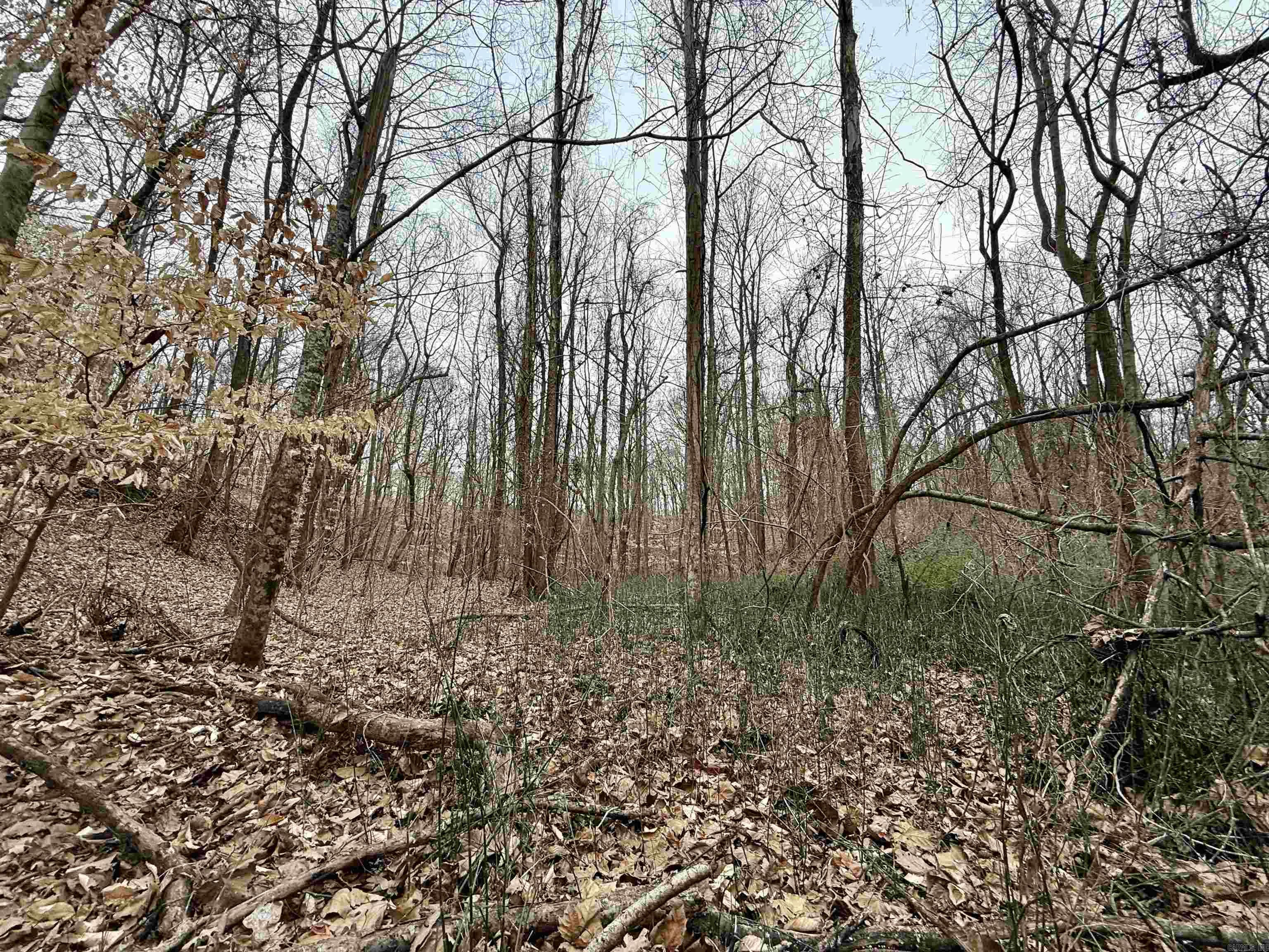 00 SFC 415 county rd 415  Widener, AR