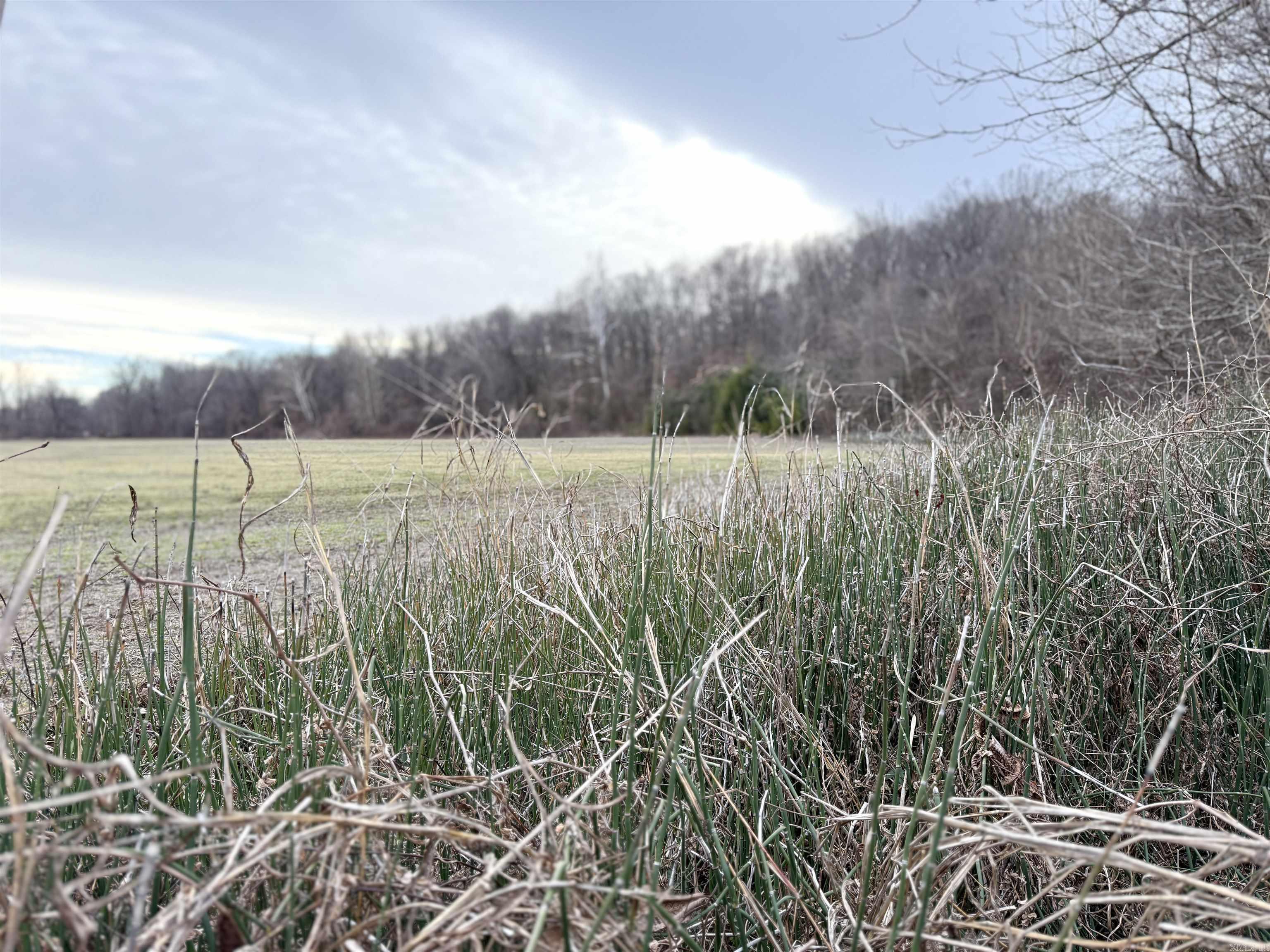 00 SFC 415 county rd 415  Widener, AR