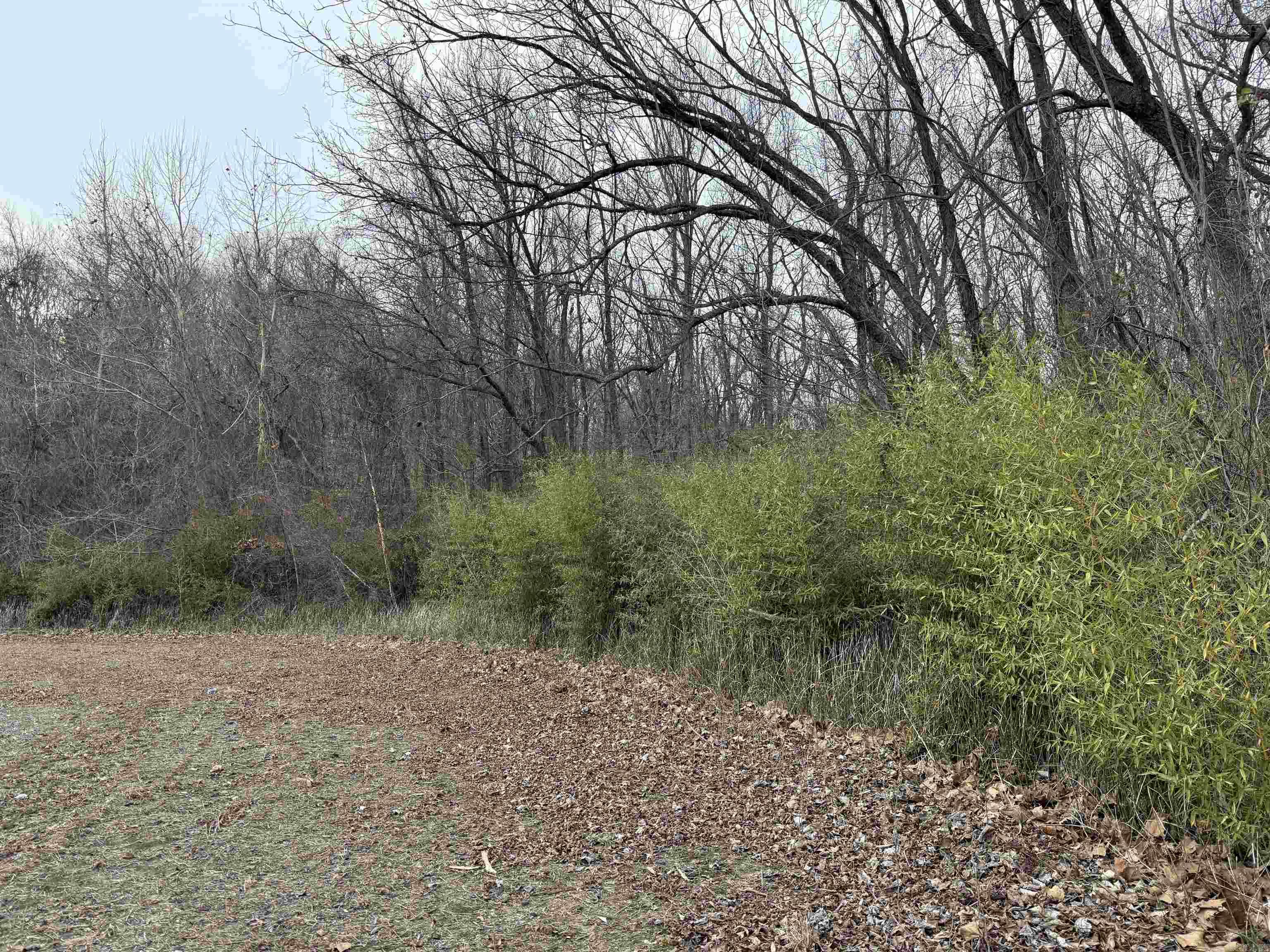 00 SFC 415 county rd 415  Widener, AR