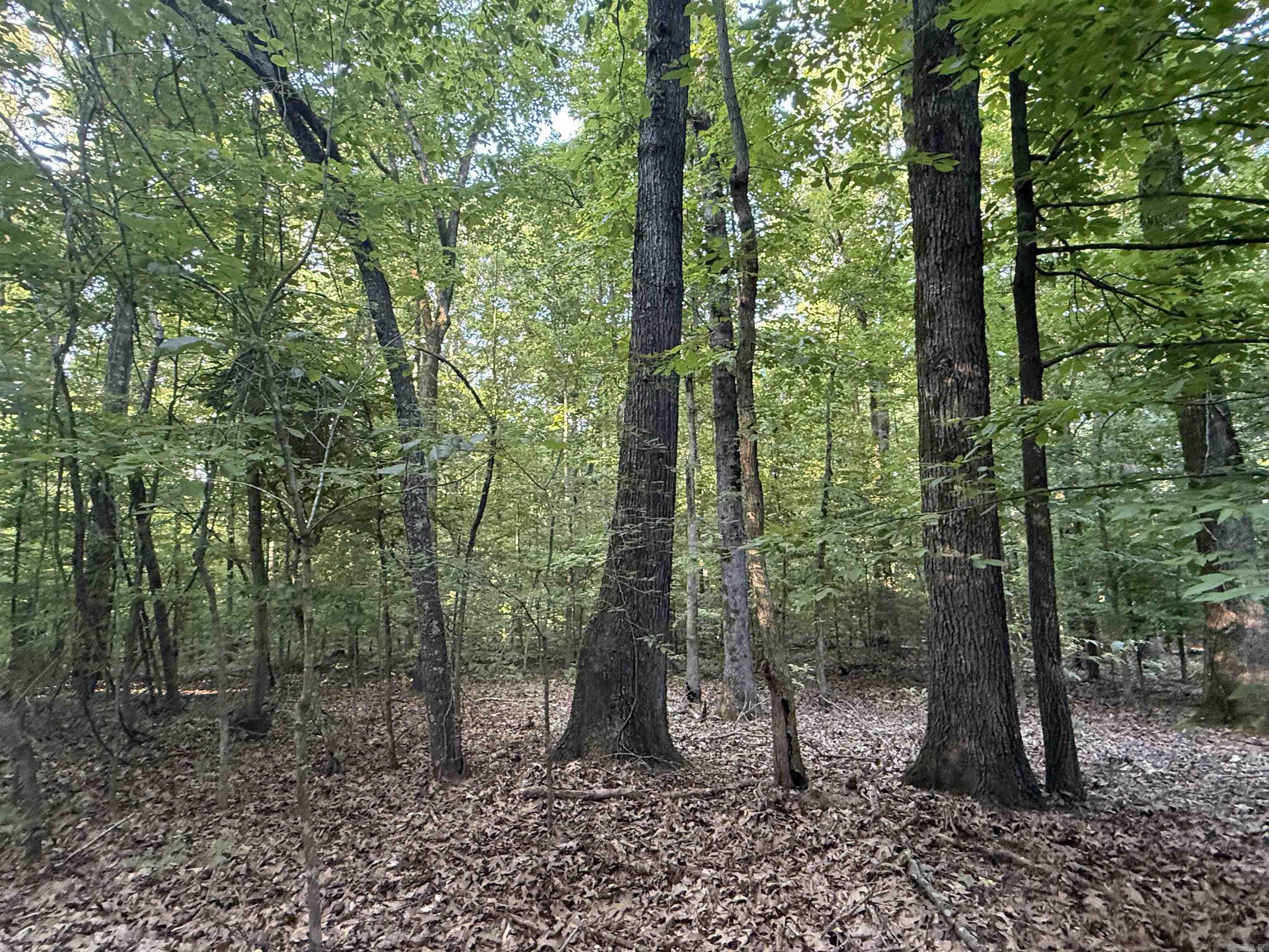 00 SFC 415 county rd 415  Widener, AR