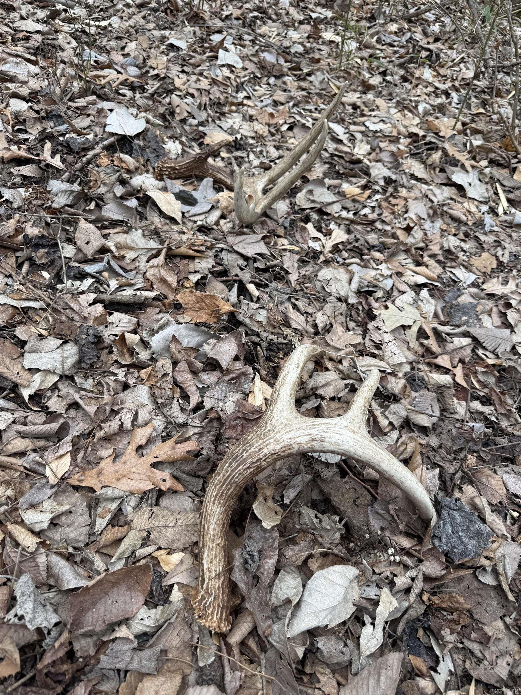 00 SFC 415 county rd 415  Widener, AR