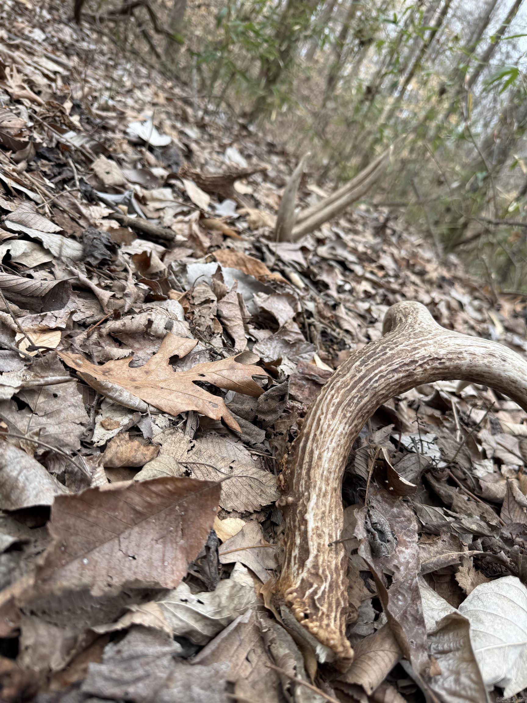 00 SFC 415 county rd 415  Widener, AR