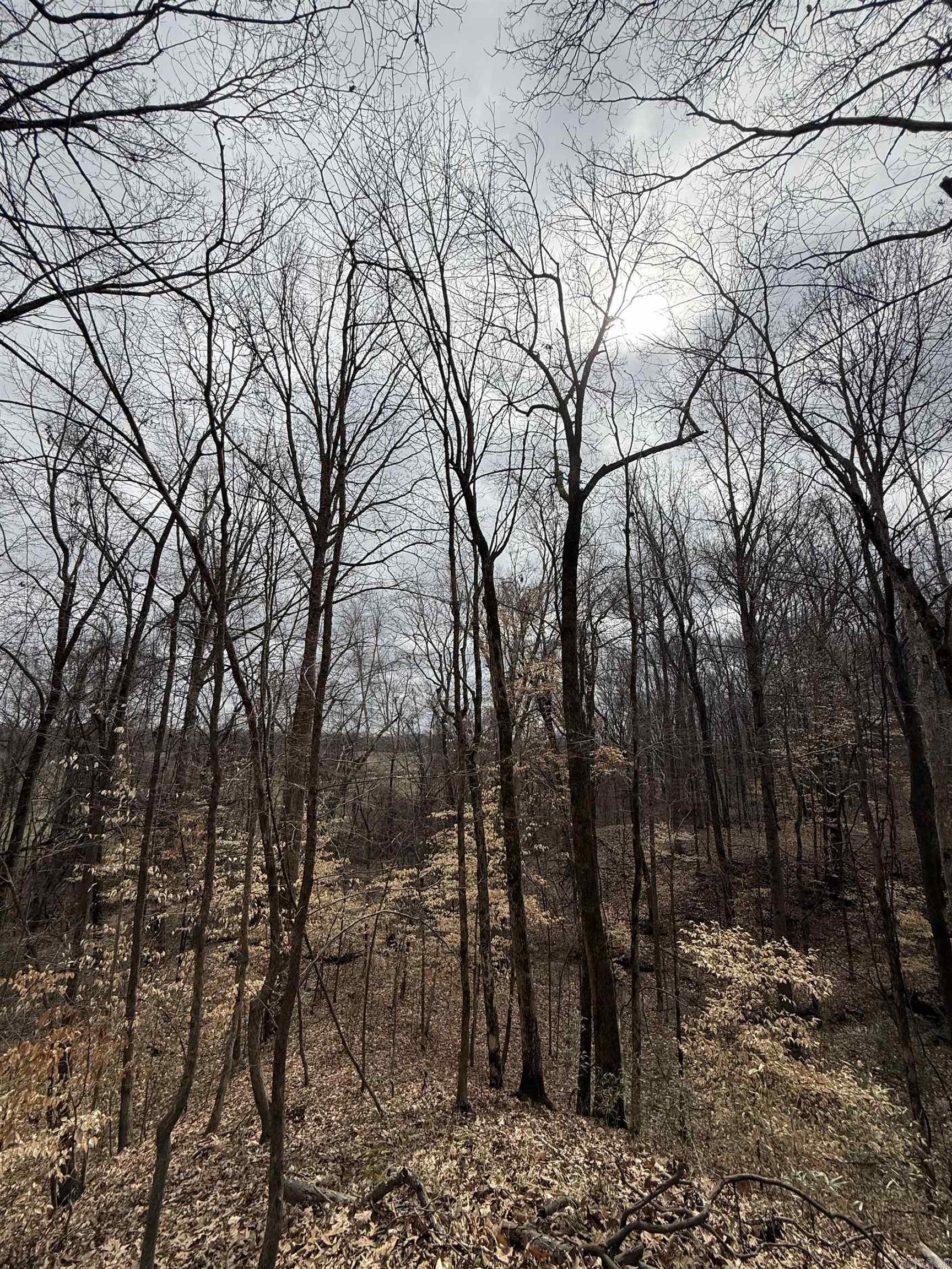 00 SFC 415 county rd 415  Widener, AR