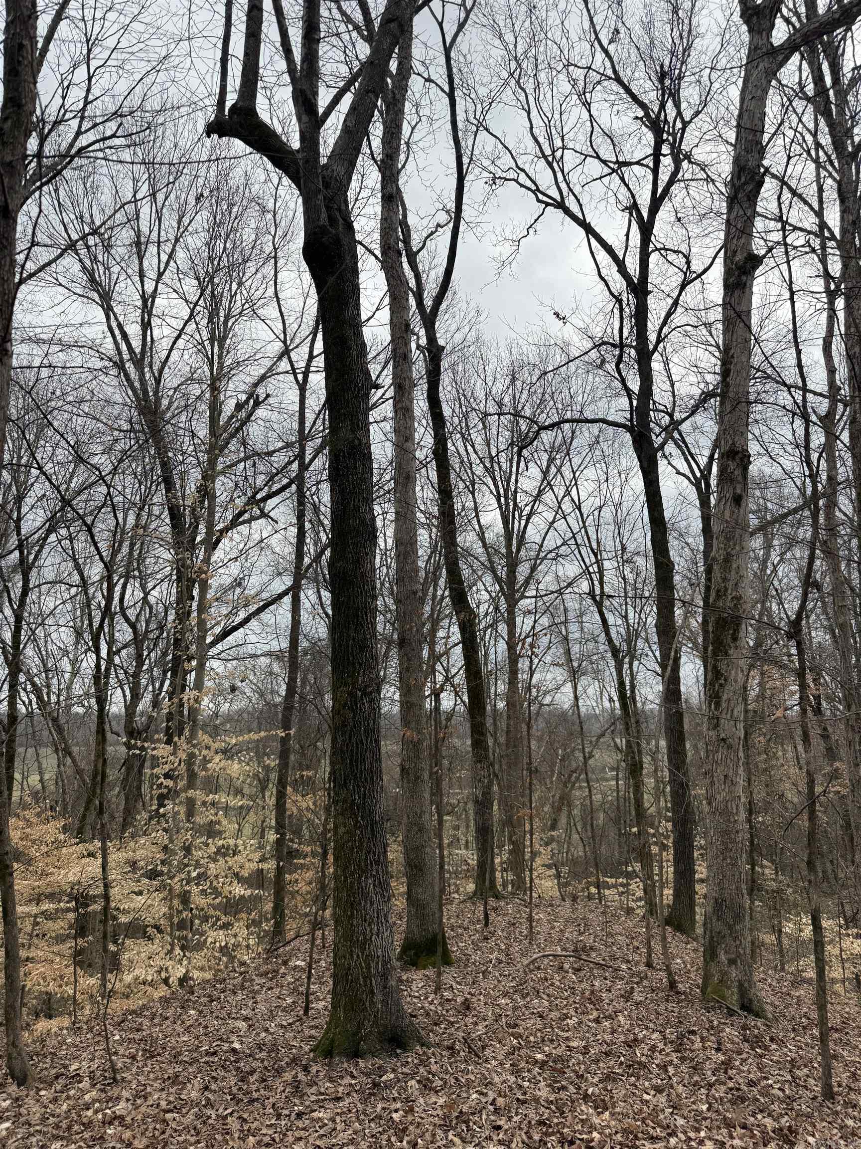 00 SFC 415 county rd 415  Widener, AR