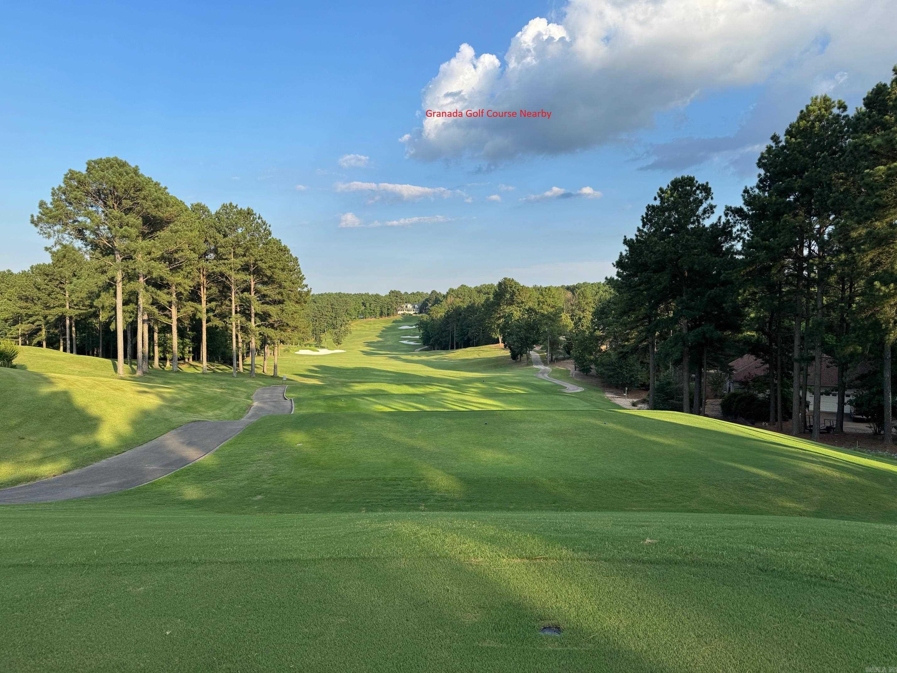 13 JAGUAR LANE  Hot Springs Village, AR