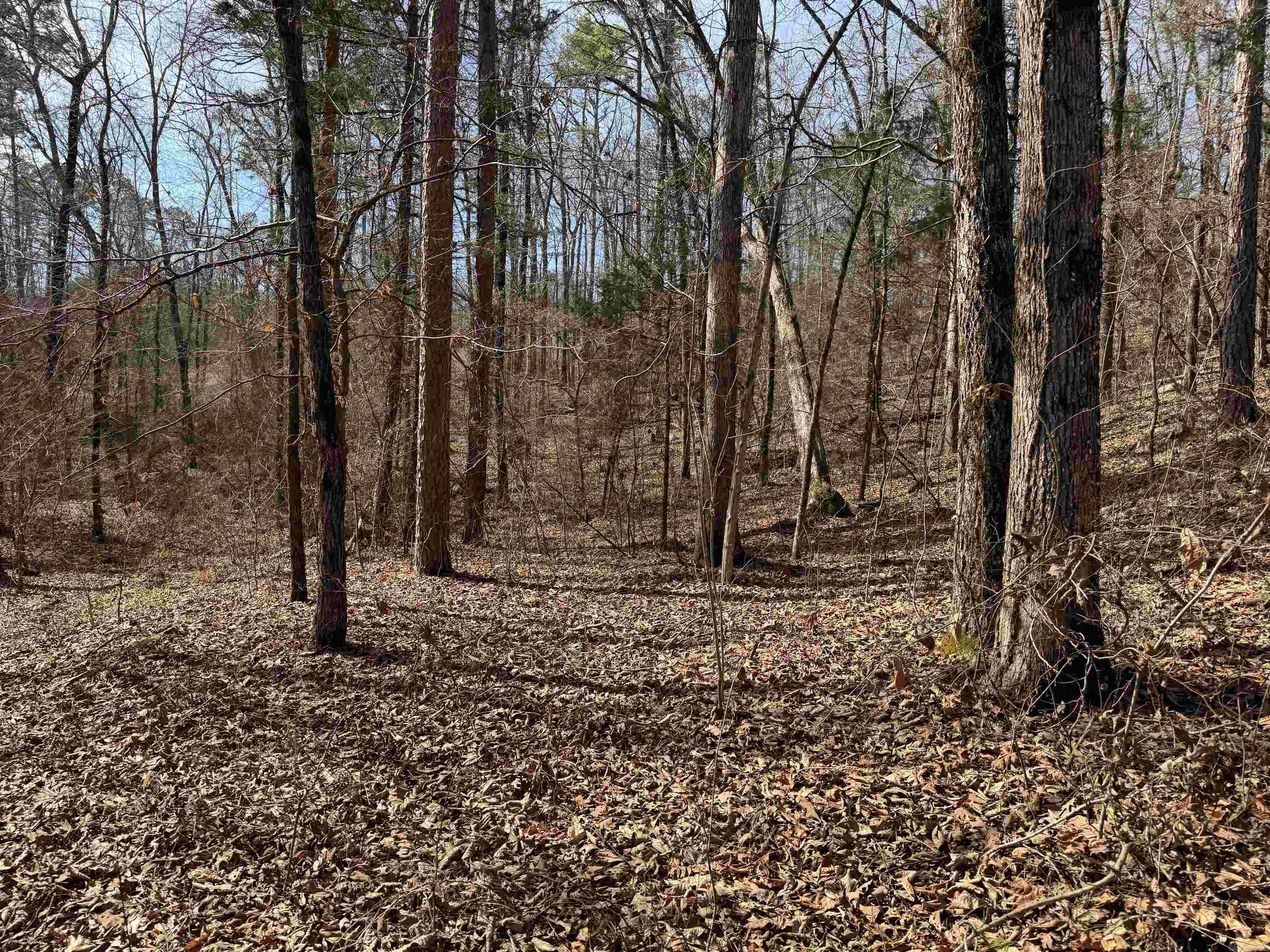 0 Peel Rd  Shirley, AR