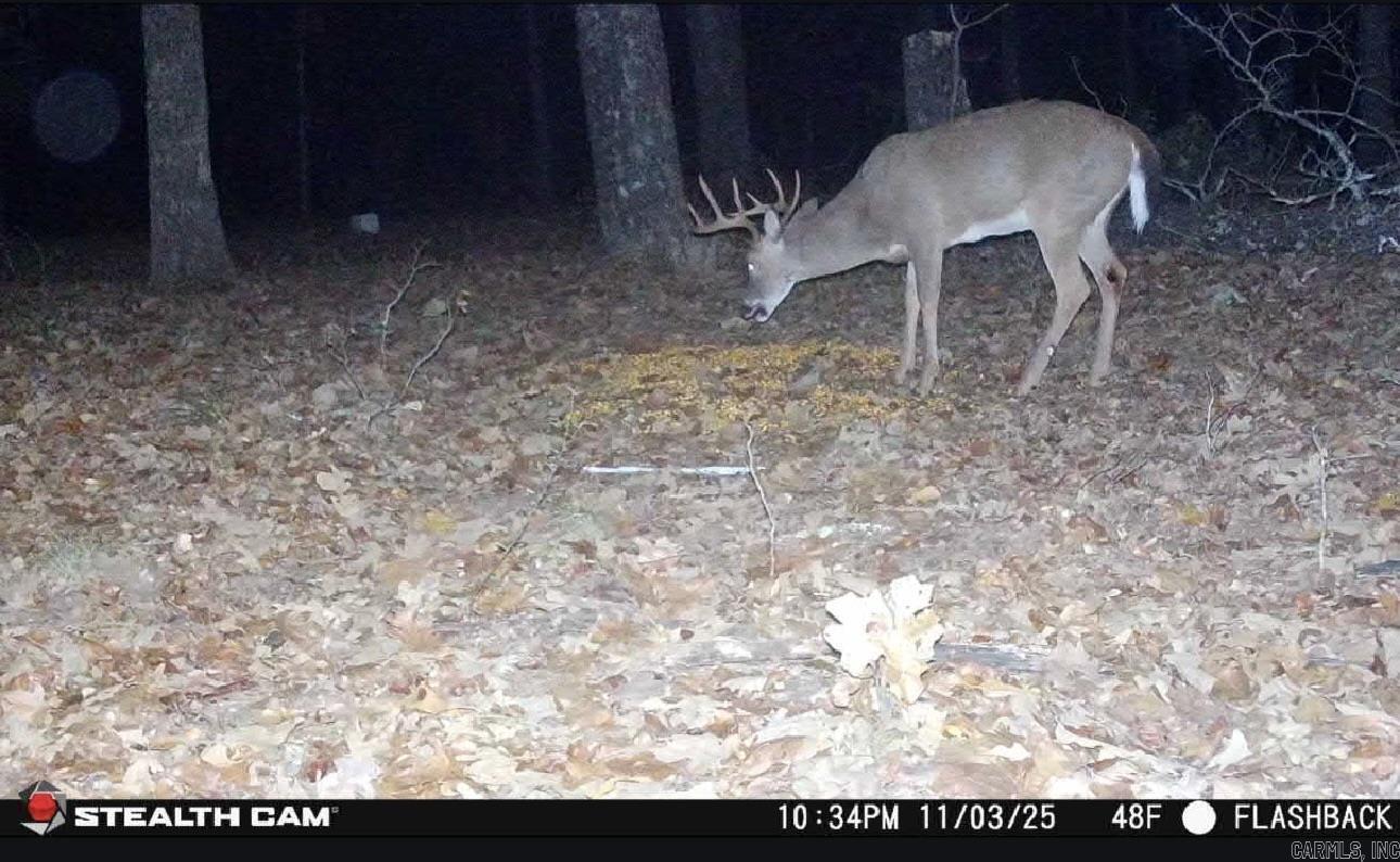 0 Peel Rd  Shirley, AR