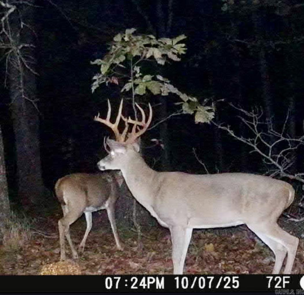 0 Peel Rd  Shirley, AR