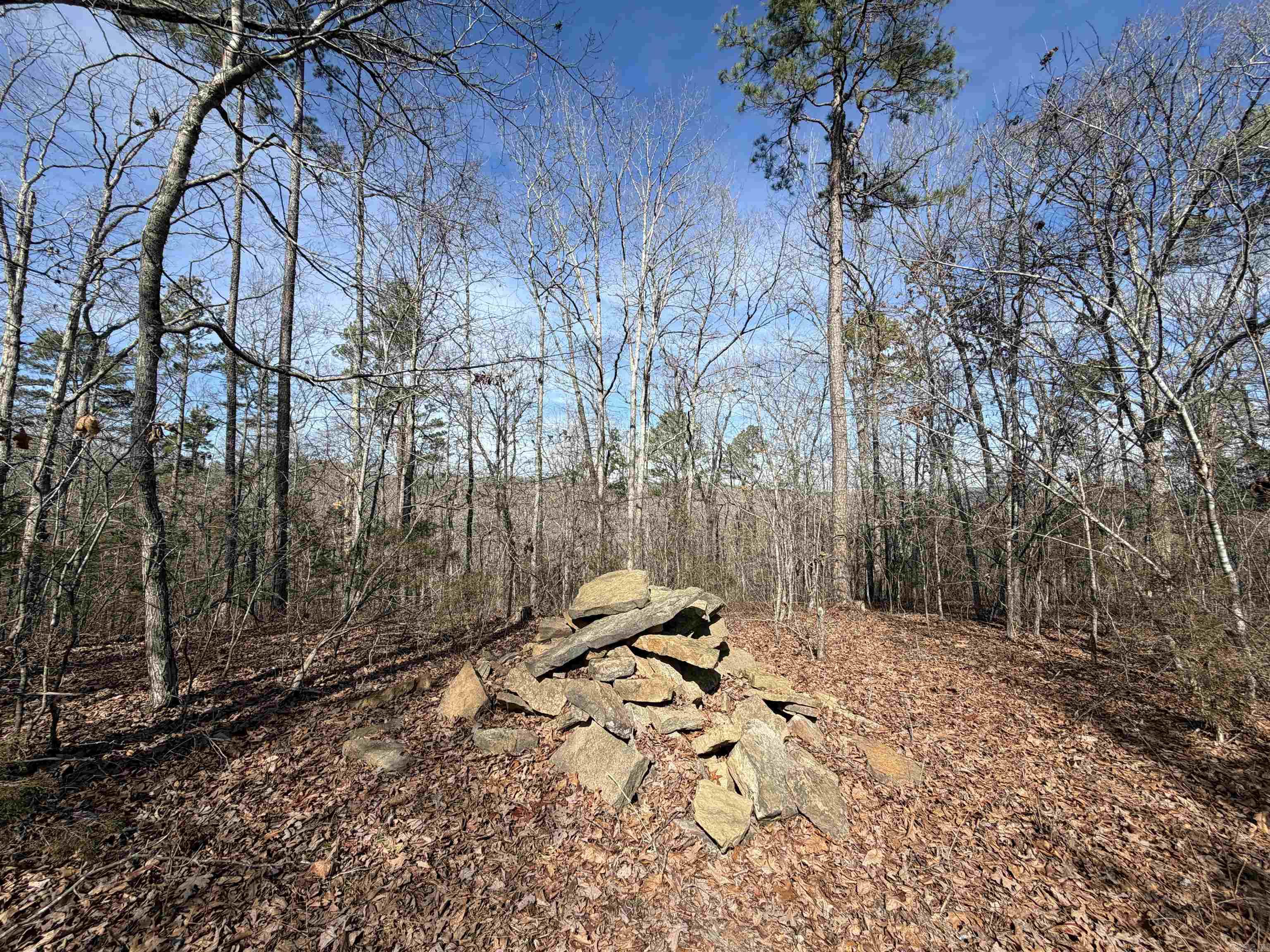 0 Peel Rd  Shirley, AR