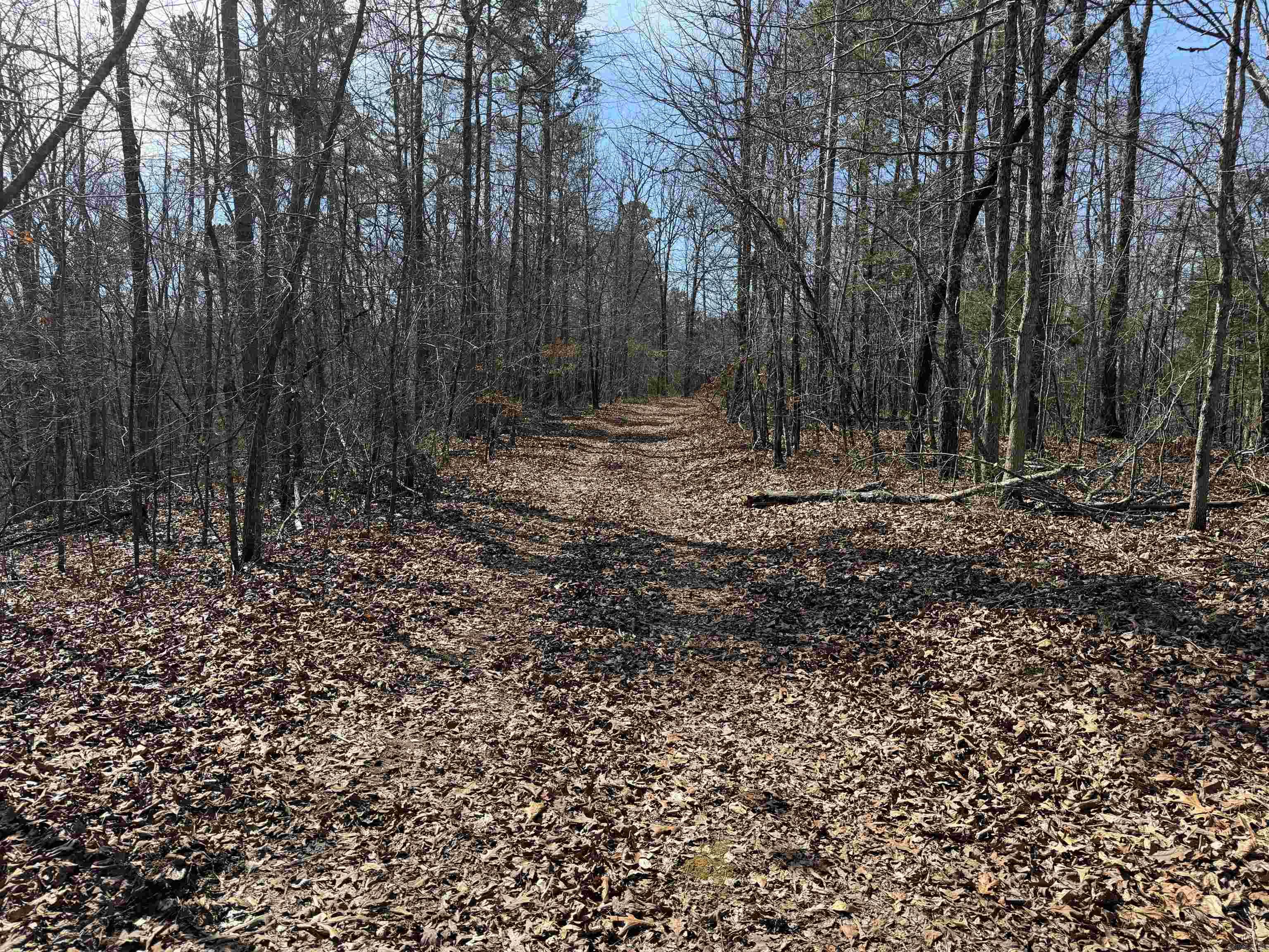 0 Peel Rd  Shirley, AR