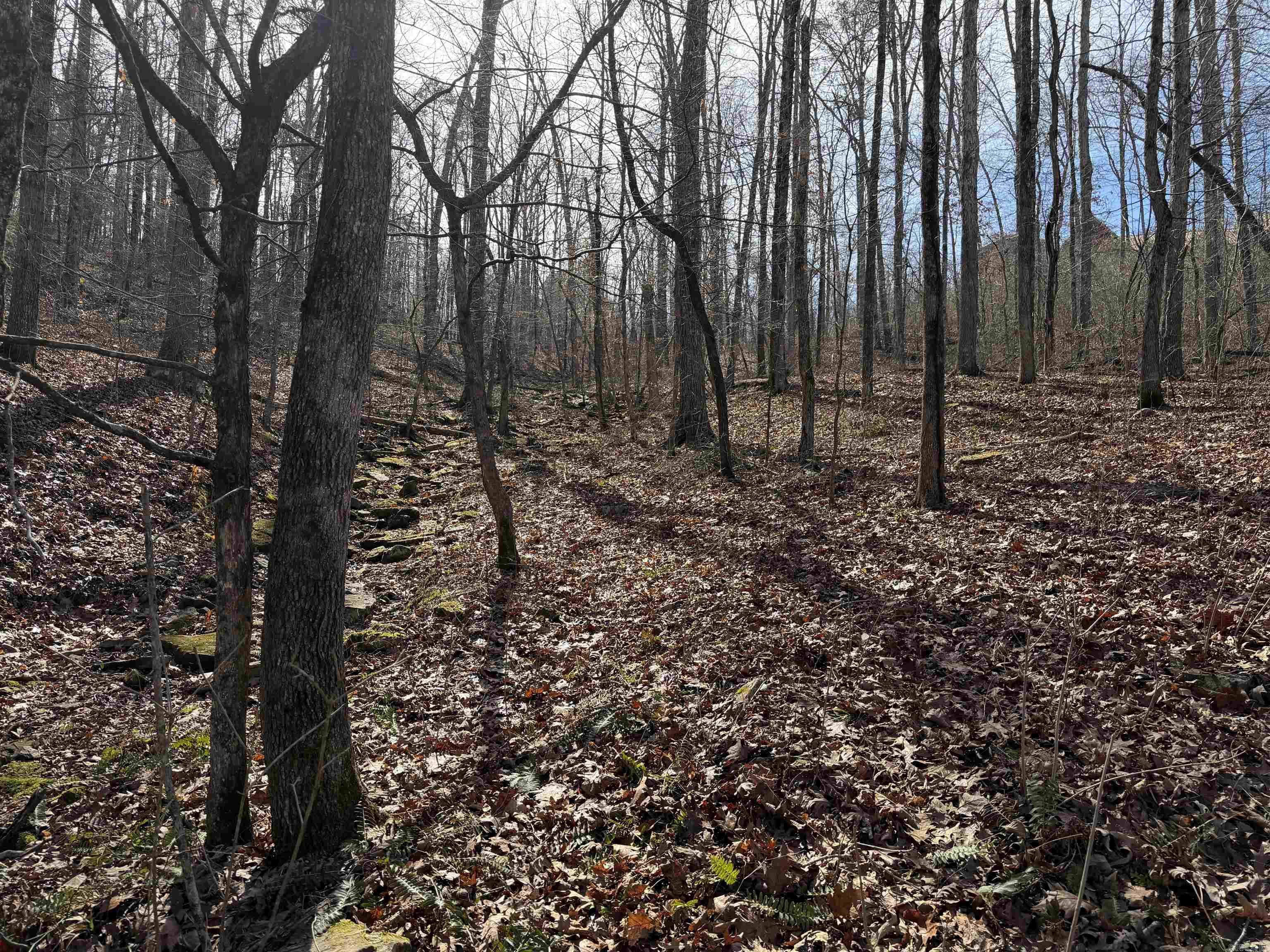 0 Peel Rd  Shirley, AR