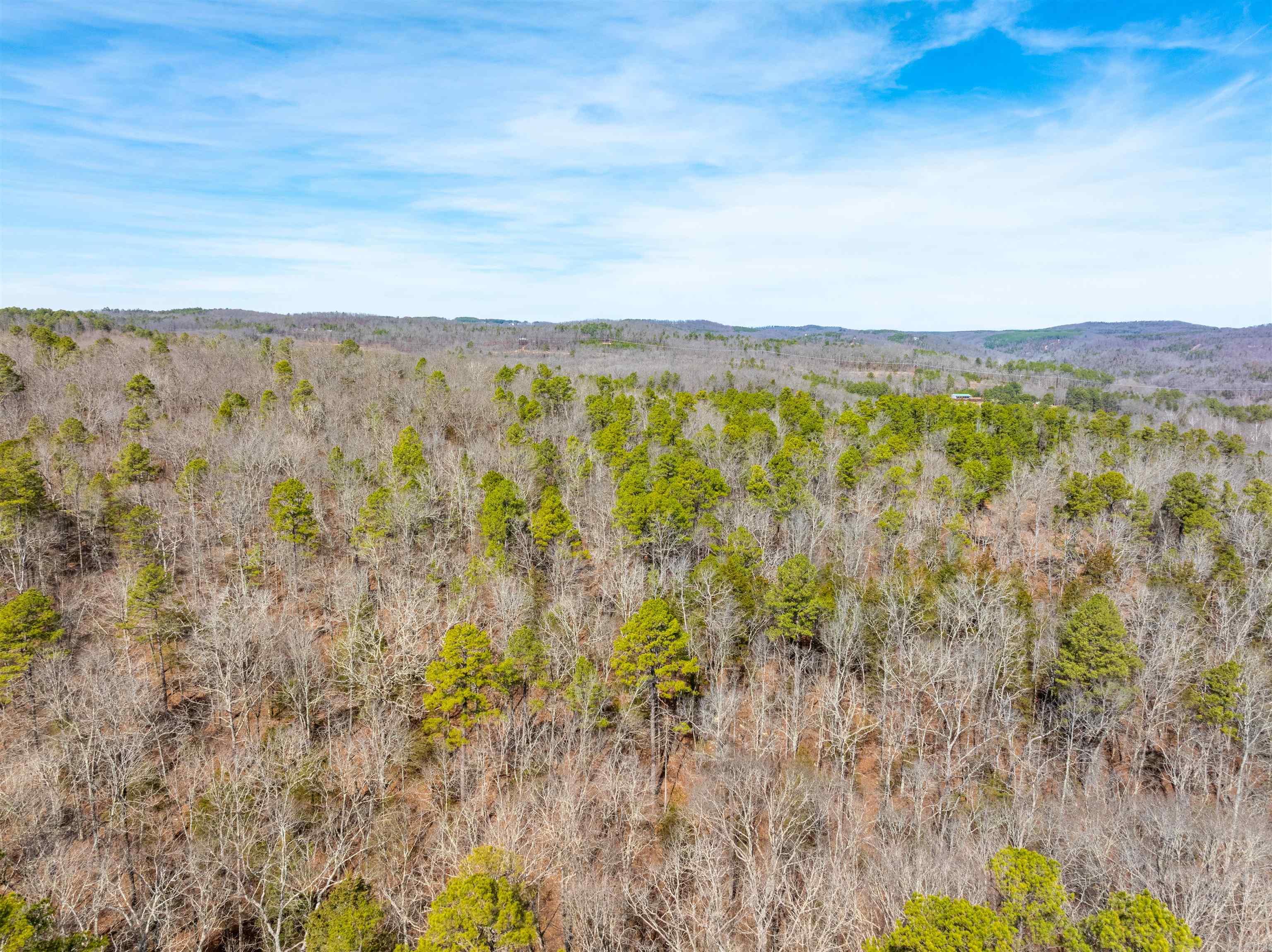 0 Peel Rd  Shirley, AR