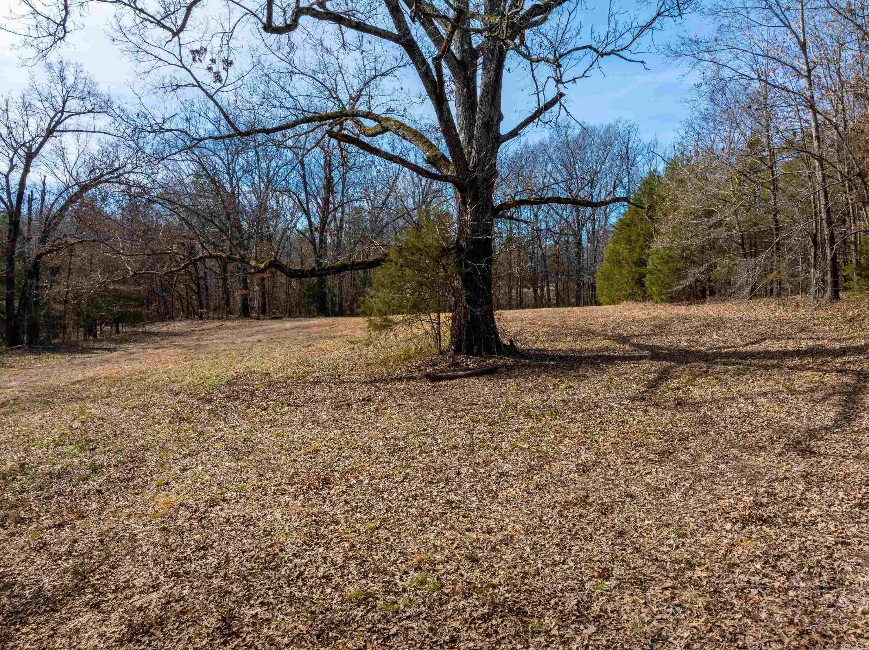 0 Lawrence Rd 228  Black Rock, AR