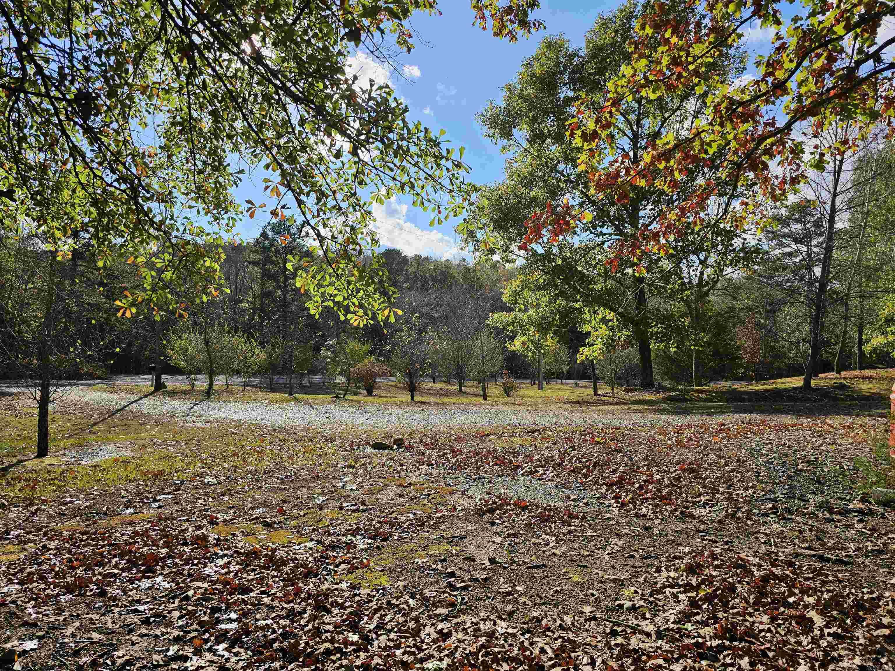 416 Polk Road 168  Mena, AR